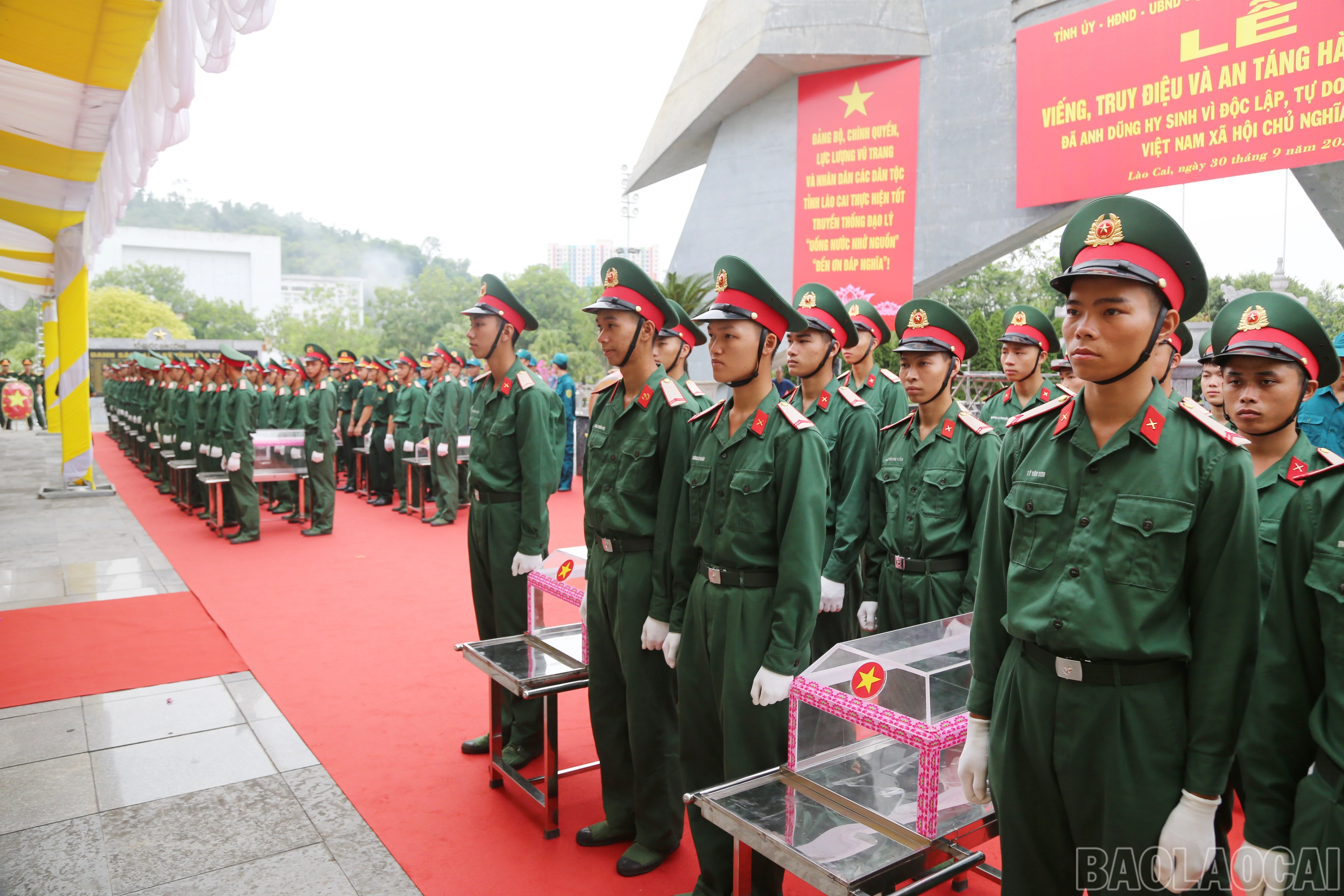 baolaocai-br_a-6.jpg