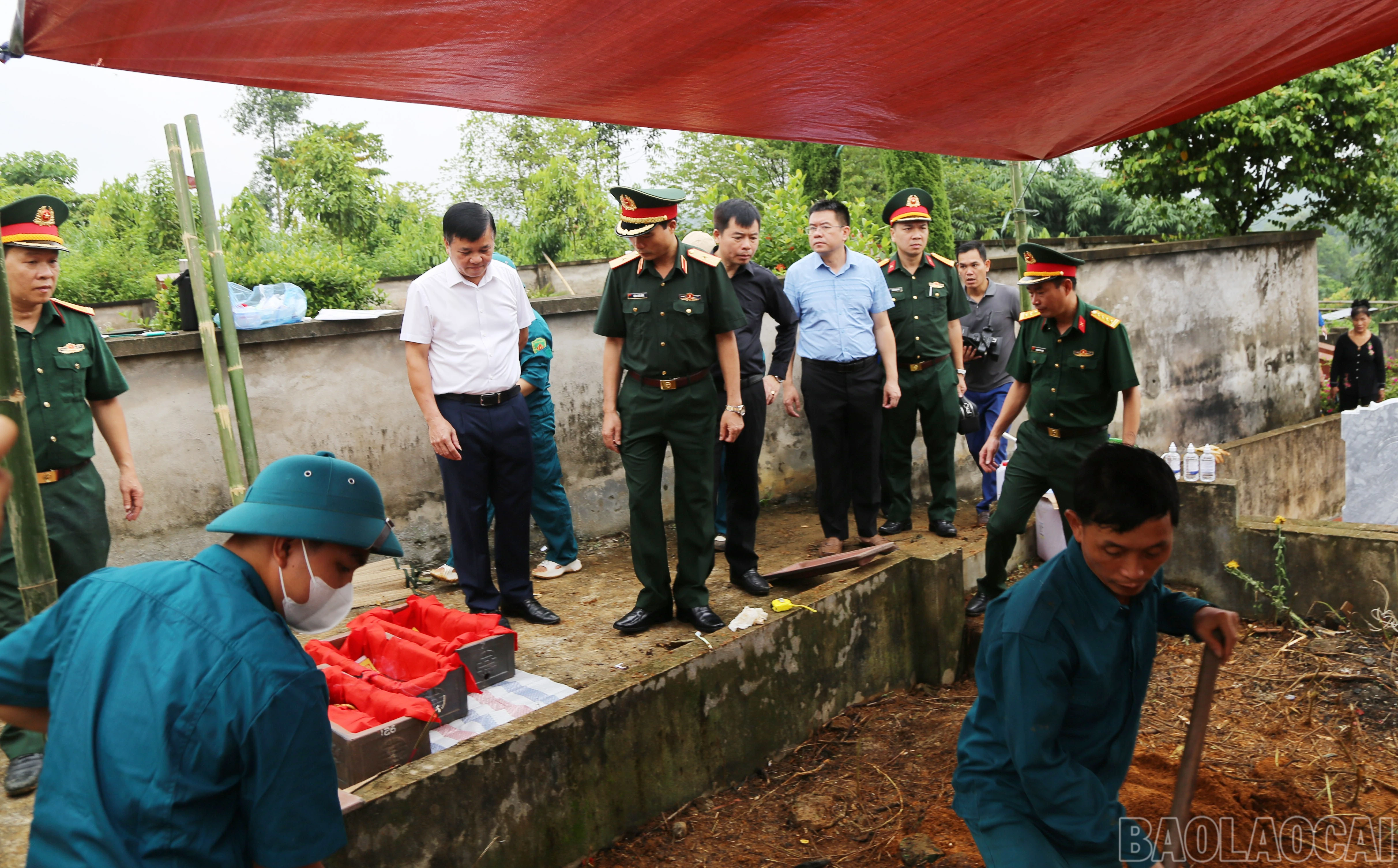 baolaocai-br_a-5.jpg