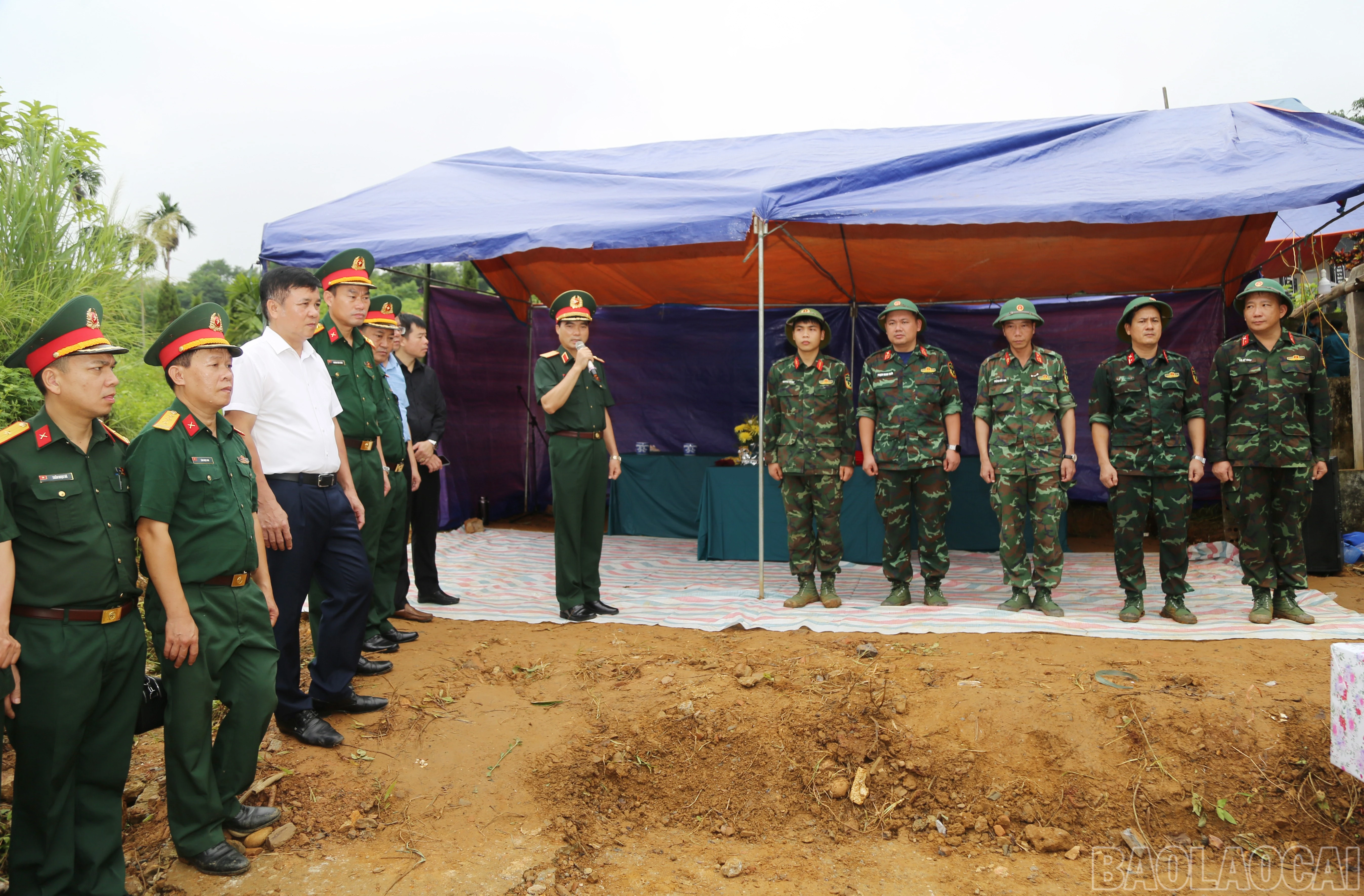 baolaocai-br_a-14.jpg