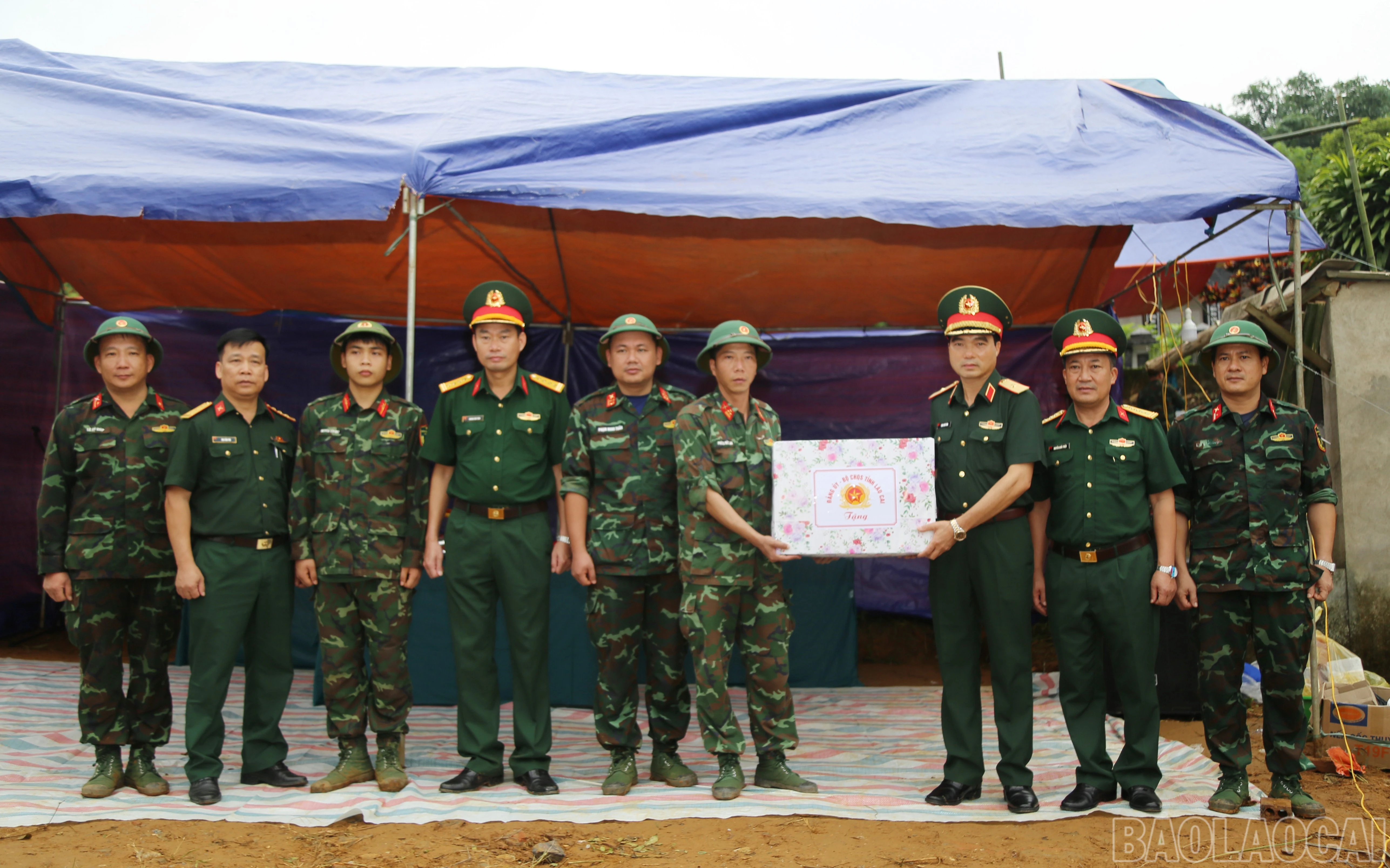 baolaocai-br_a-15.jpg