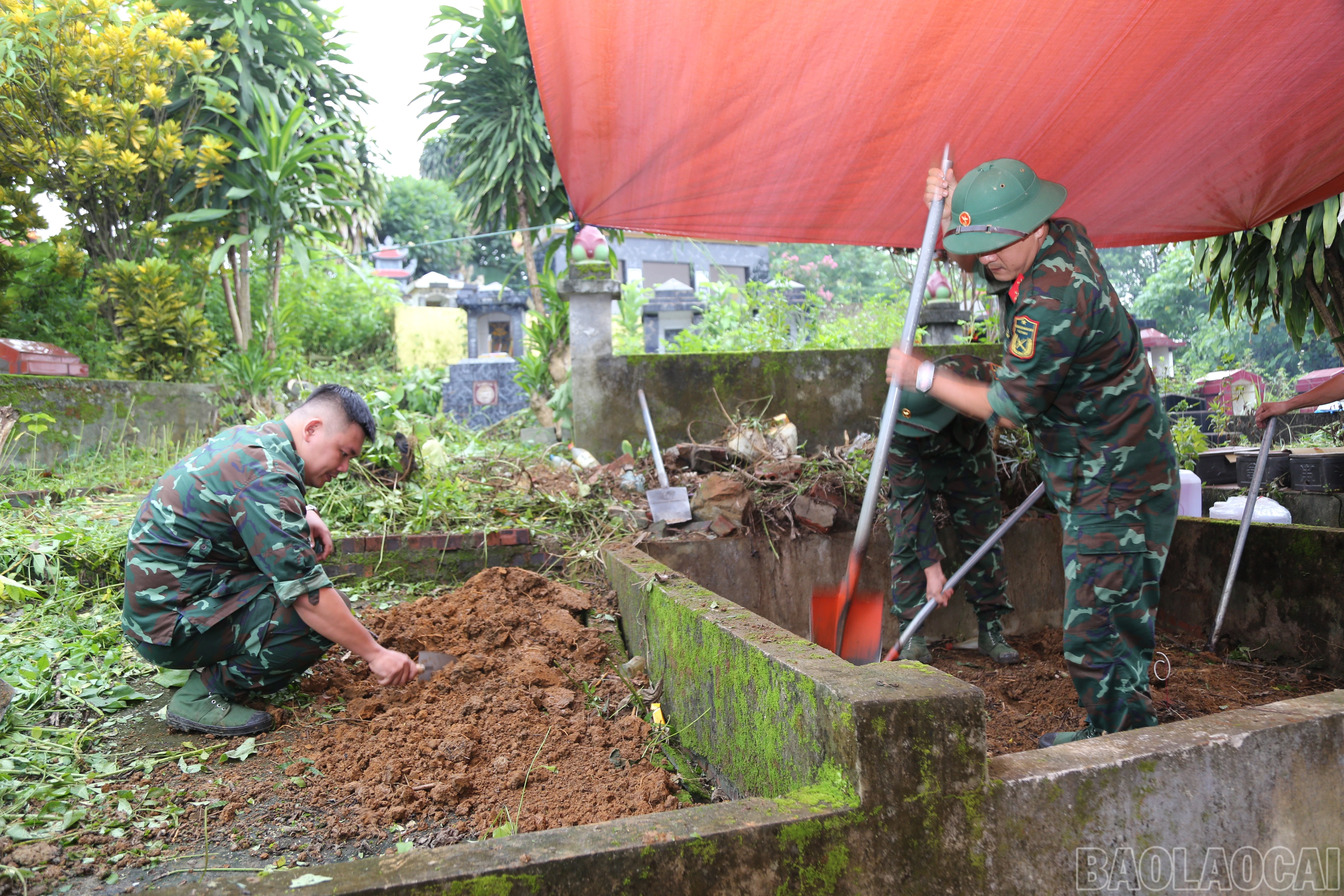 baolaocai-br_a-31.jpg