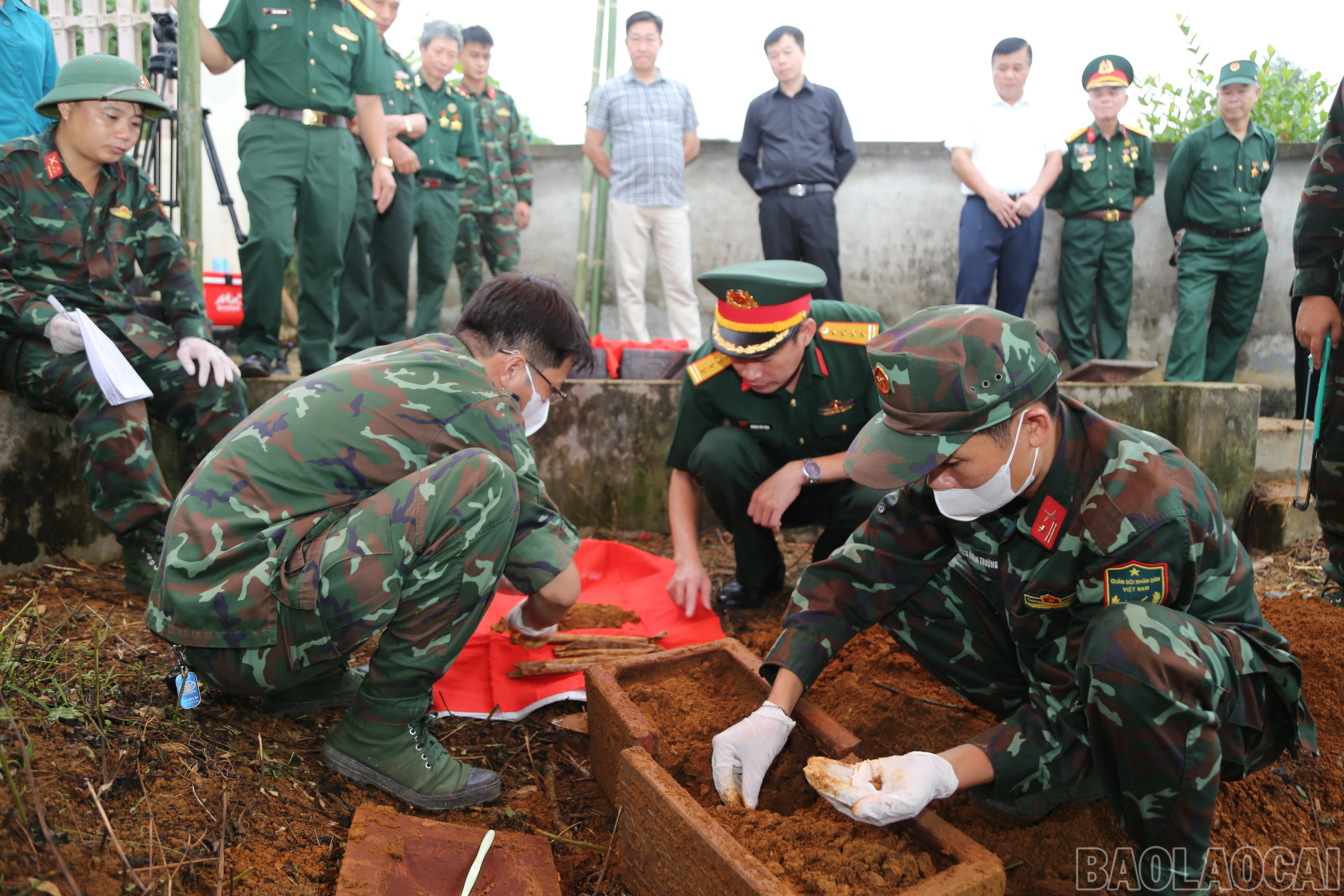 baolaocai-br_a-25.jpg