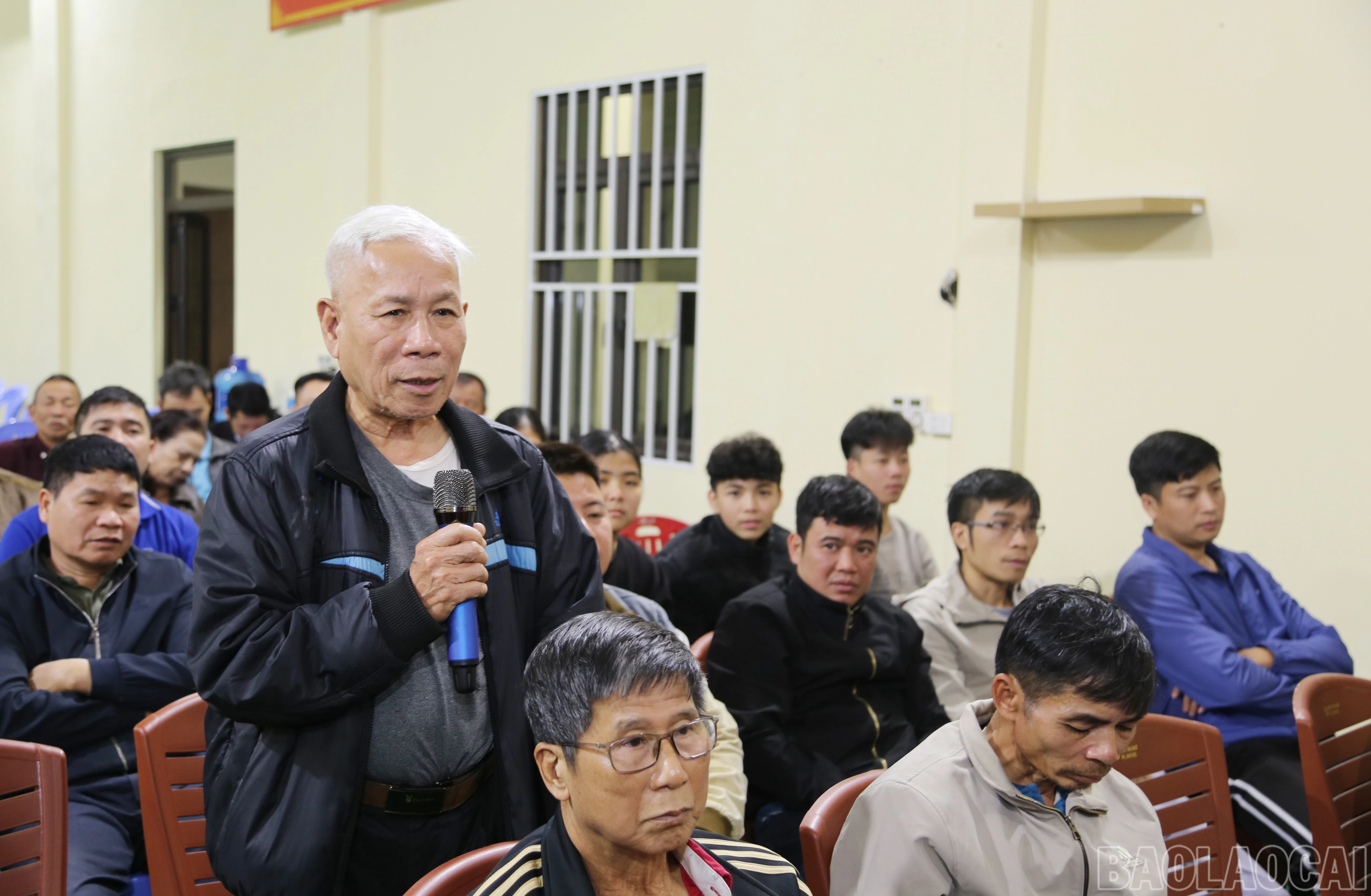 baolaocai-br_a-3.jpg