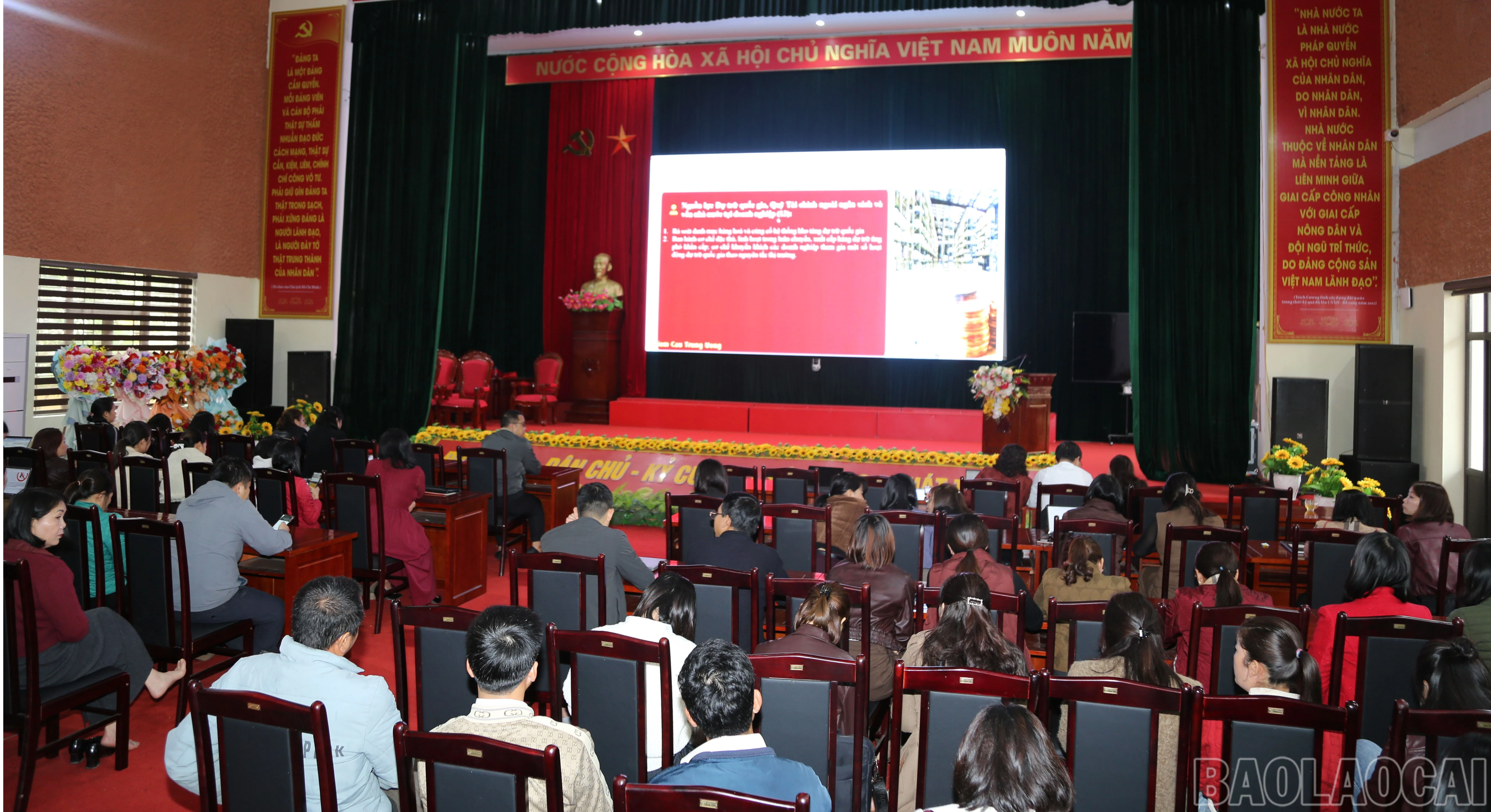 baolaocai-br_a-1.jpg