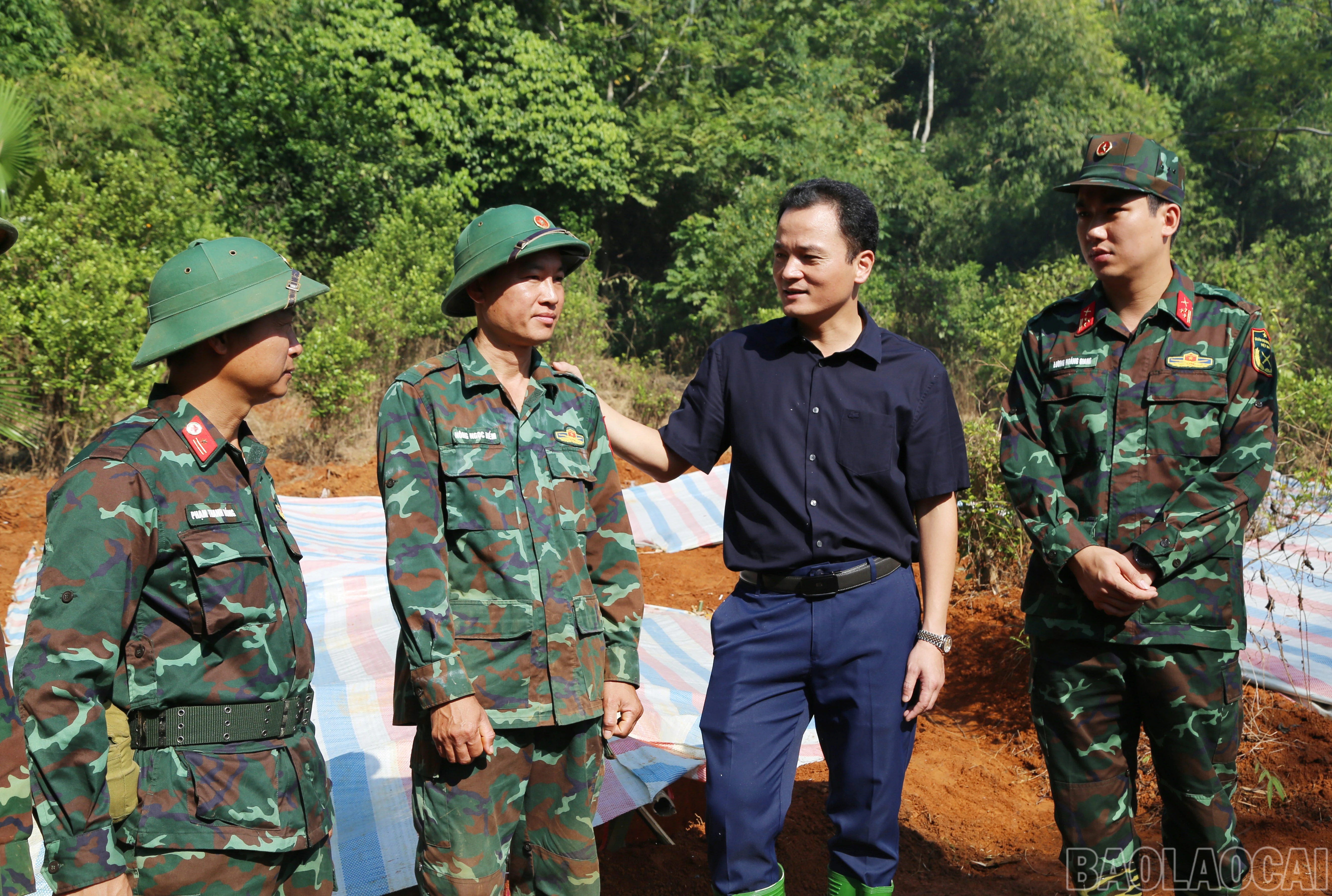 baolaocai-br_a-8.jpg