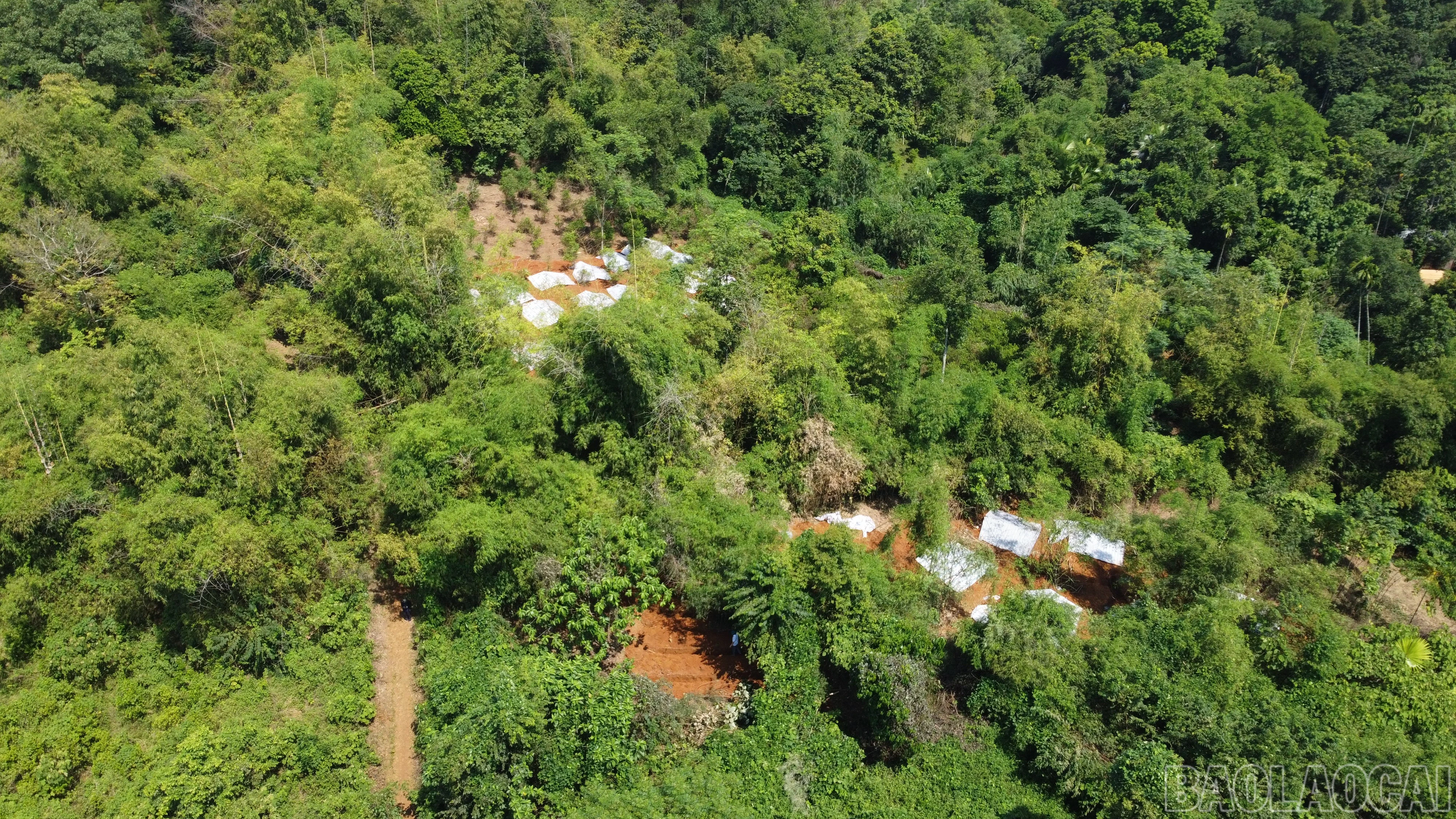 baolaocai-br_dji-0683.jpg