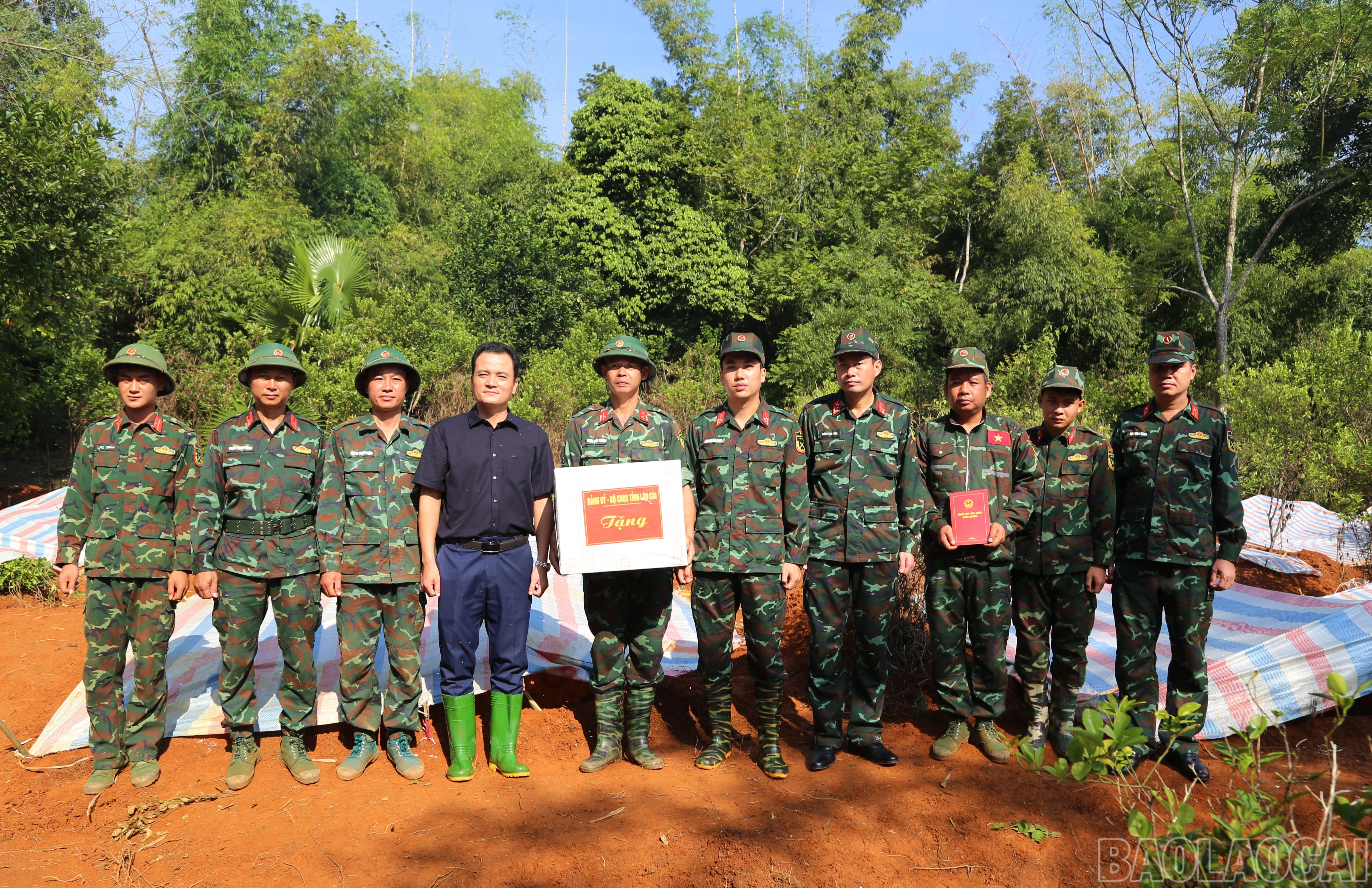baolaocai-br_a-6.jpg