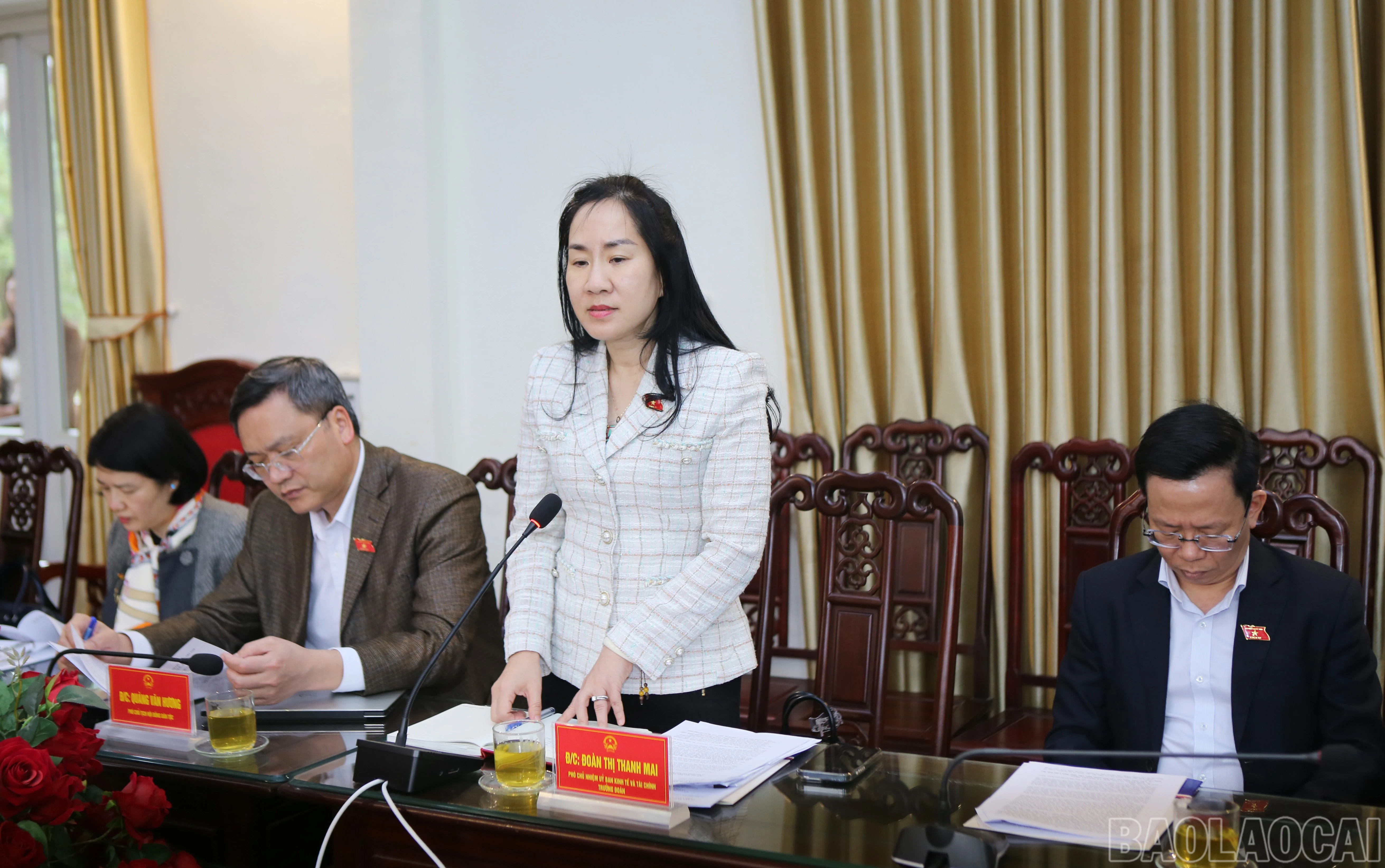 baolaocai-br_bt-3.jpg