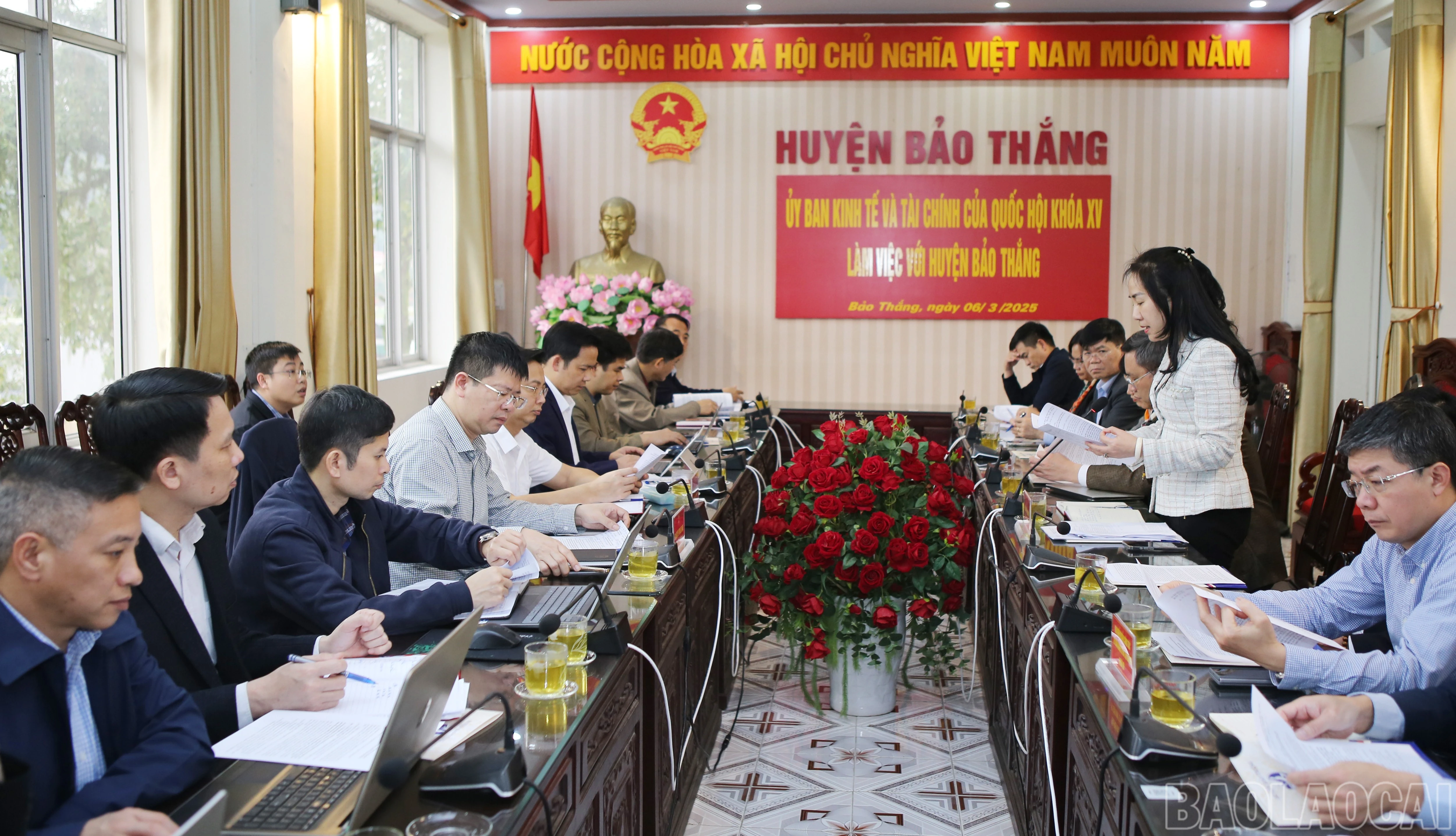 baolaocai-br_bt-1.jpg