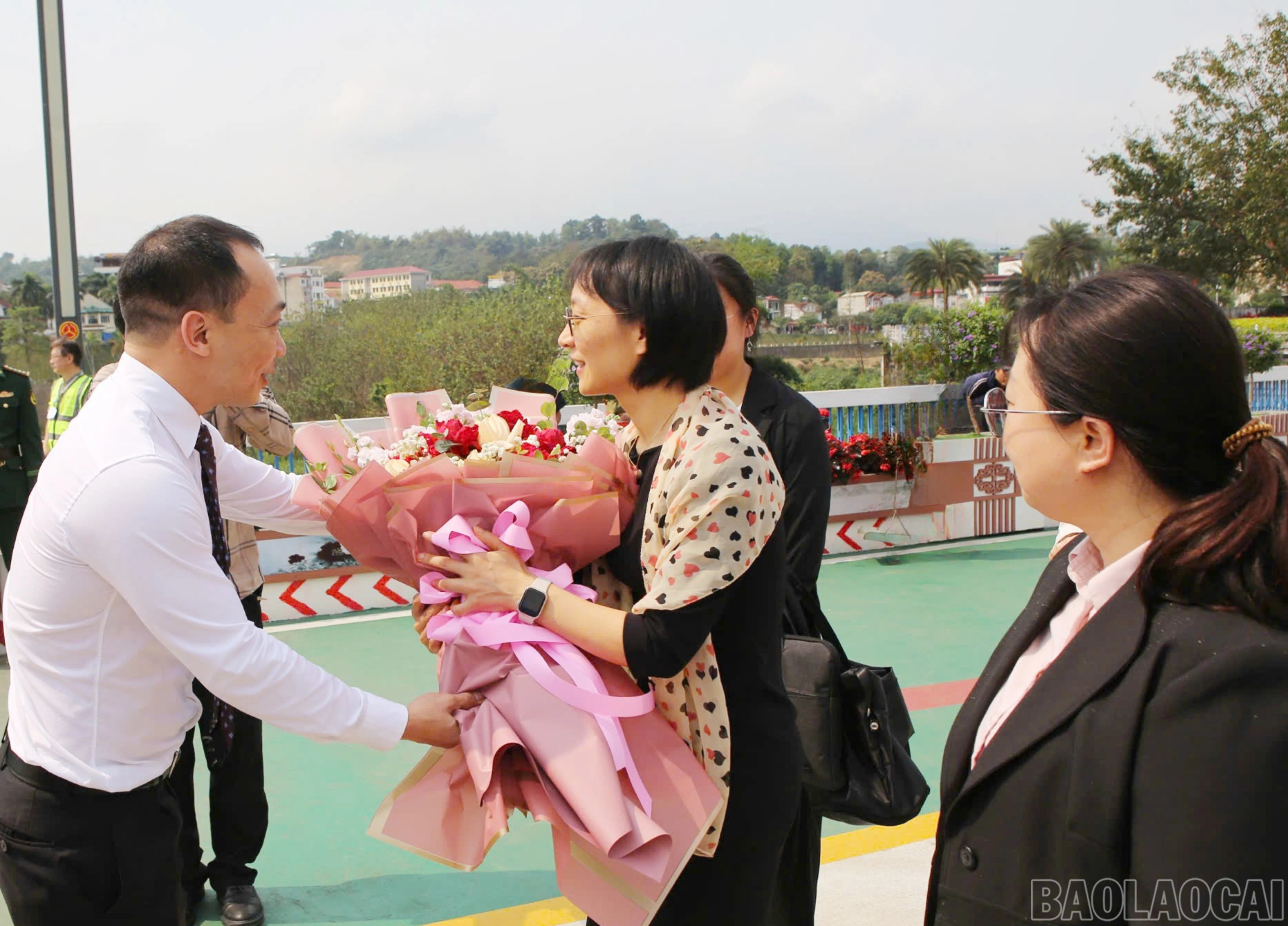baolaocai-br_4.jpg