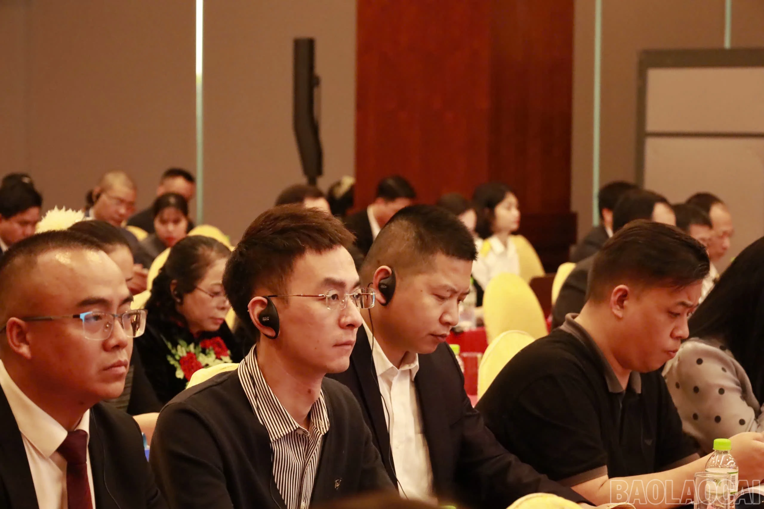 baolaocai-br_z6404877922787-6cb140c0f48035163ff3befff7d1f19d.jpg