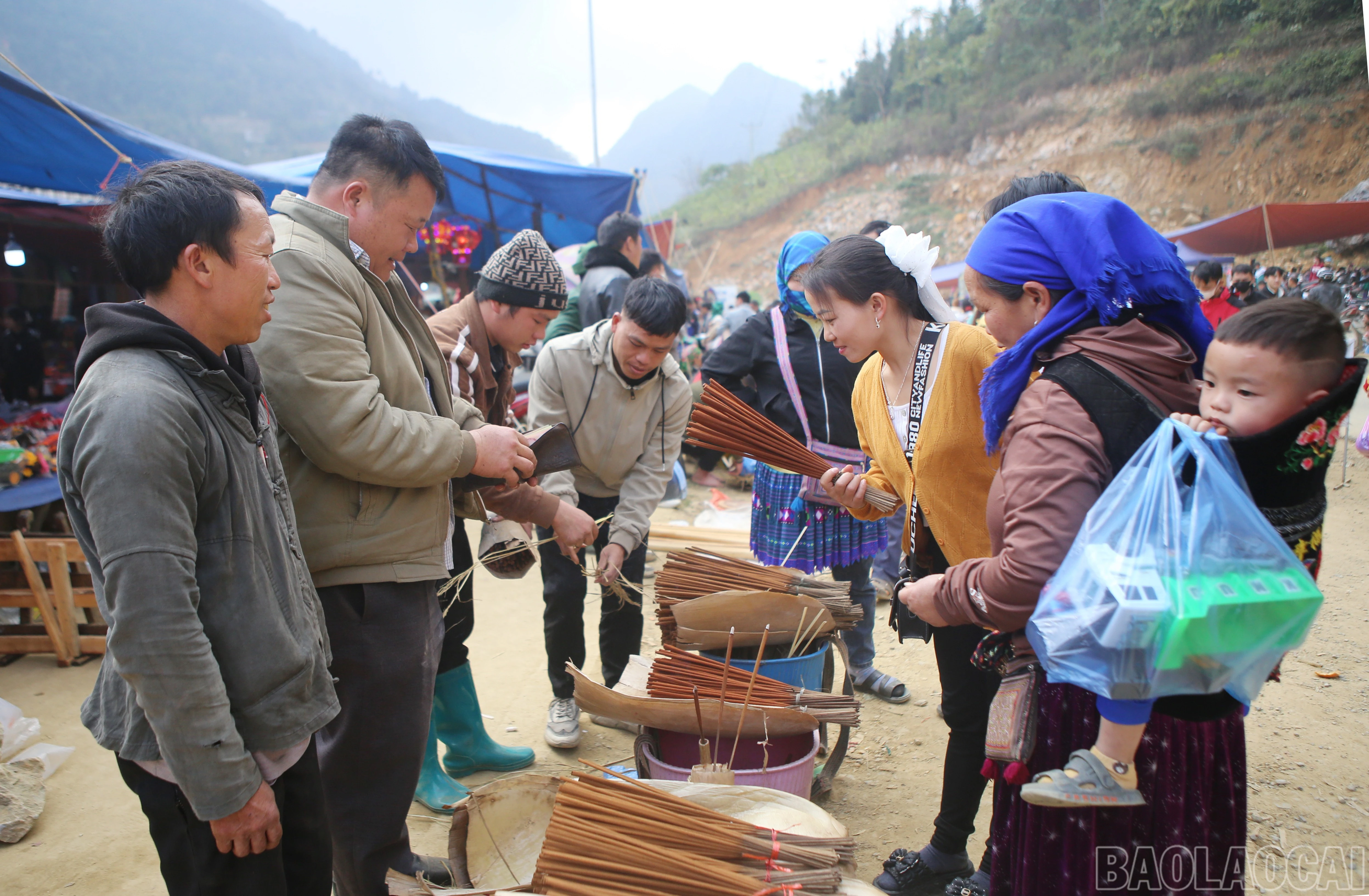 baolaocai-br_cc-3.jpg
