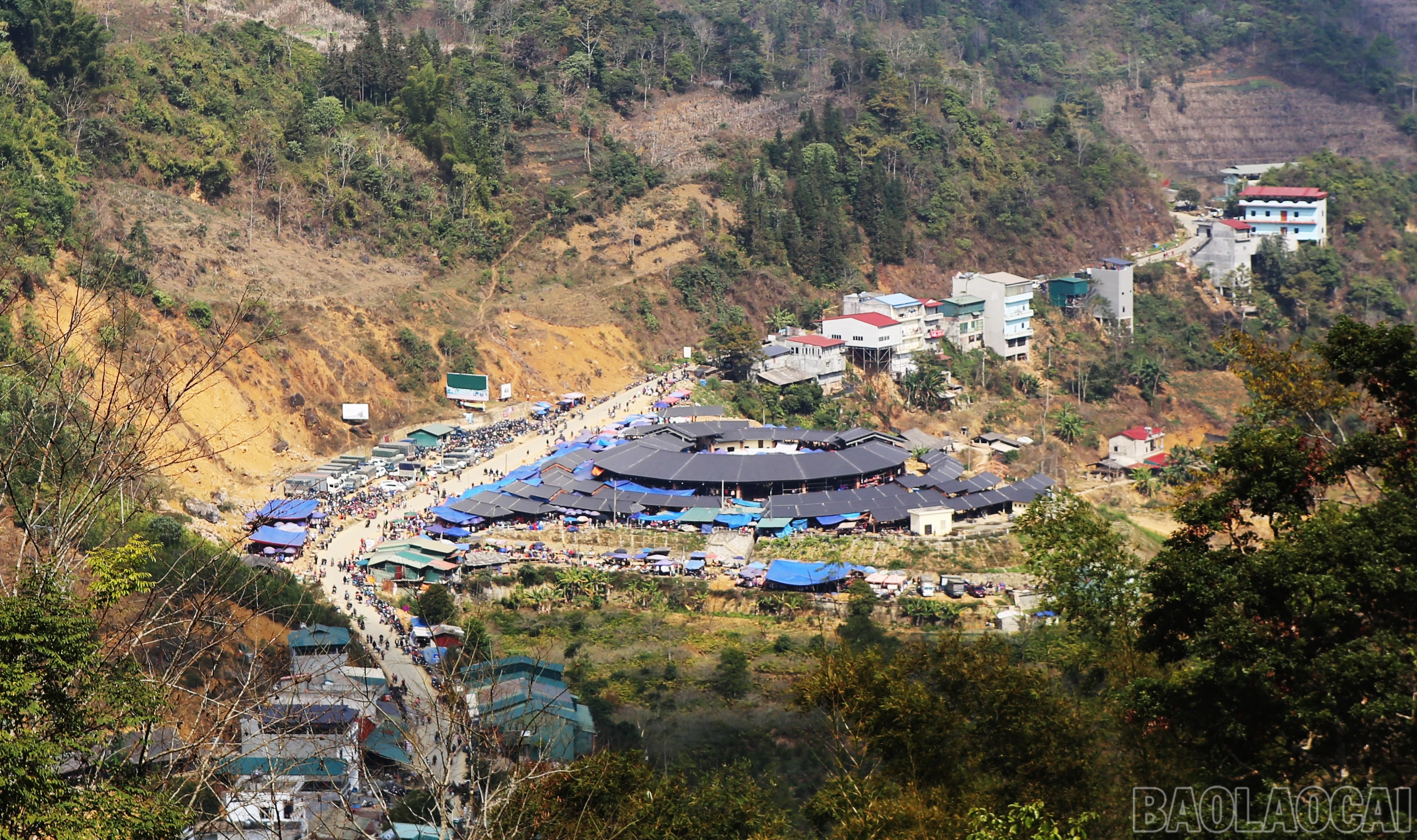 baolaocai-br_cc-1.jpg