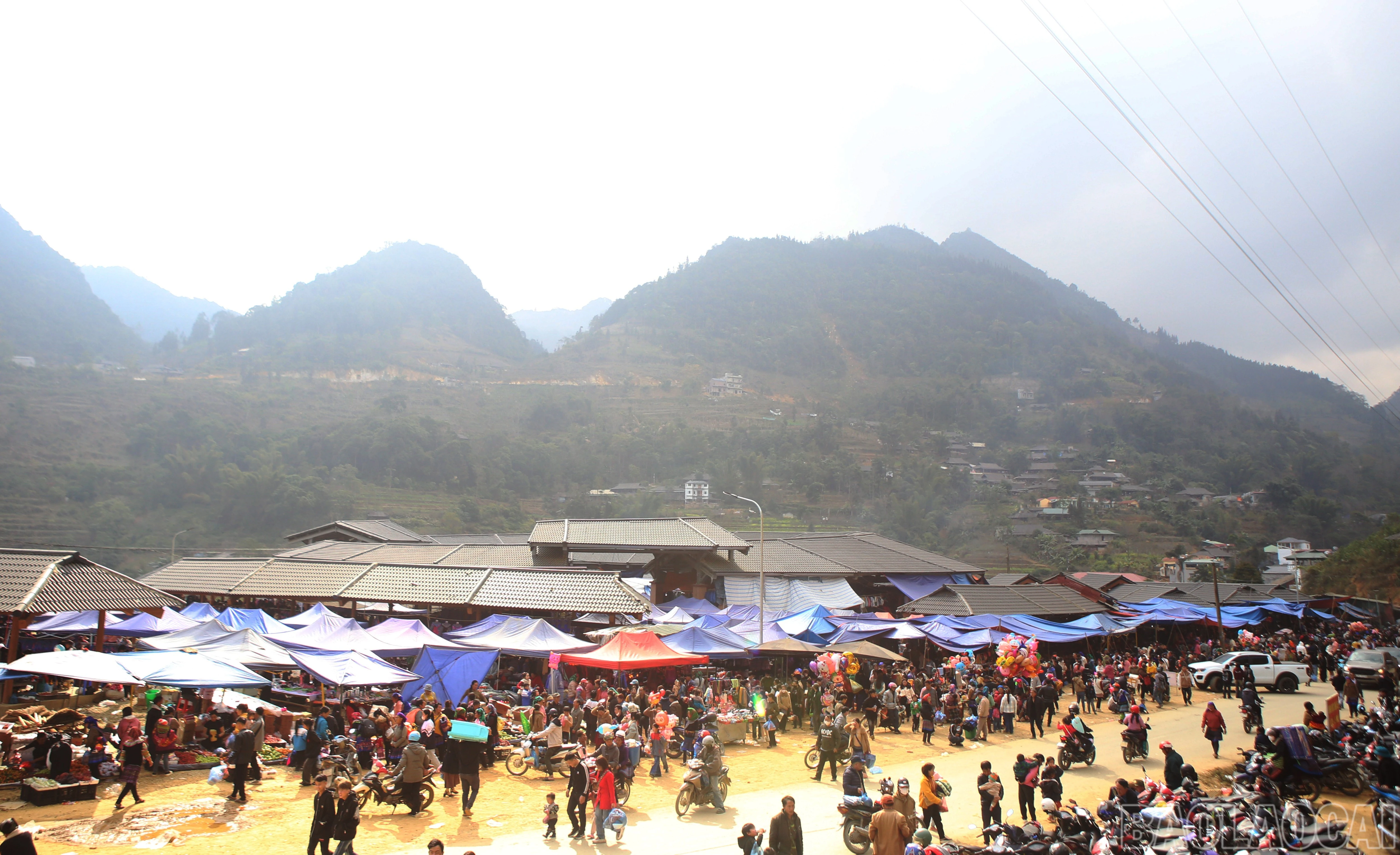 baolaocai-br_cc-2.jpg
