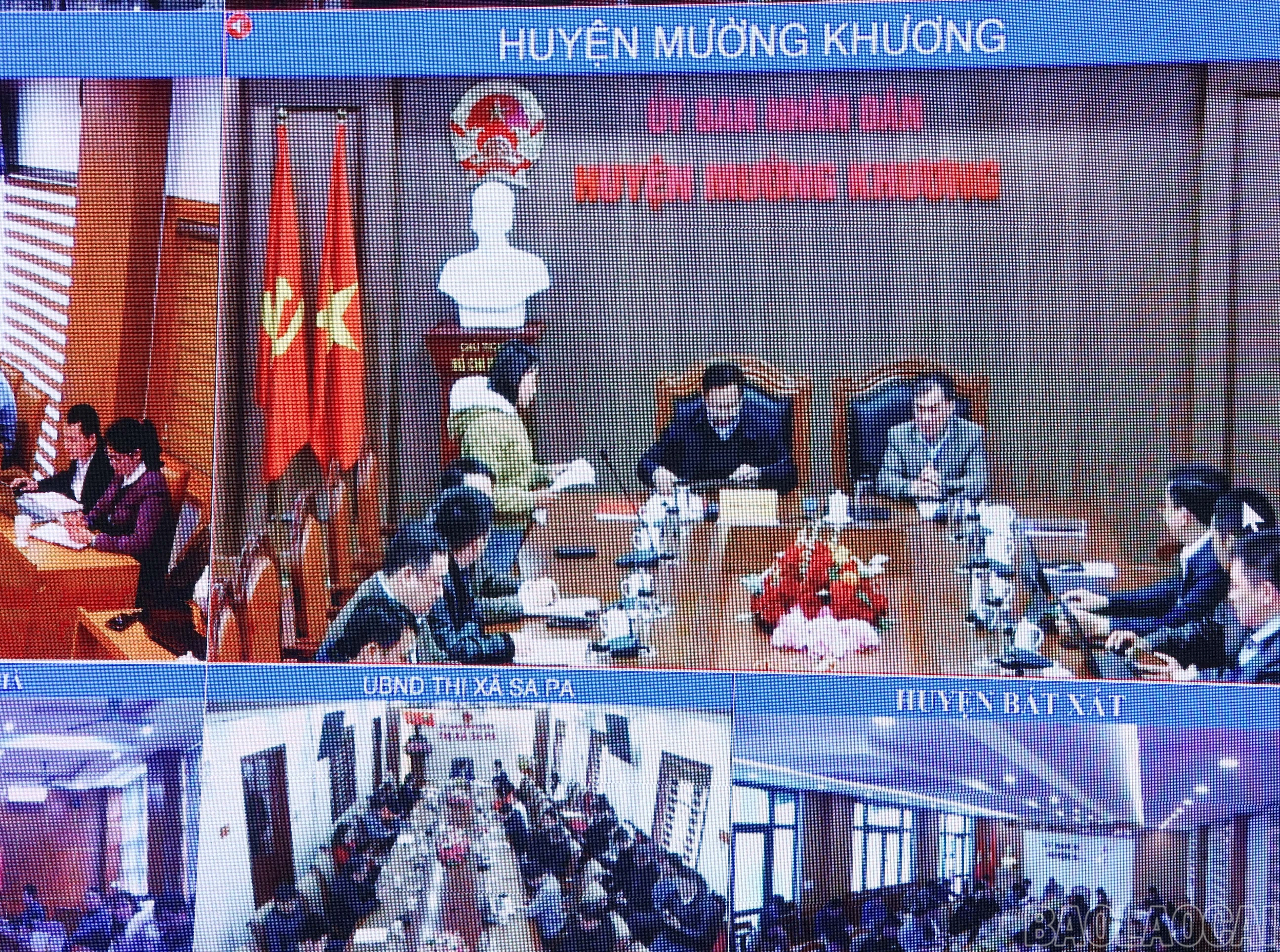 baolaocai-br_mt-2.jpg