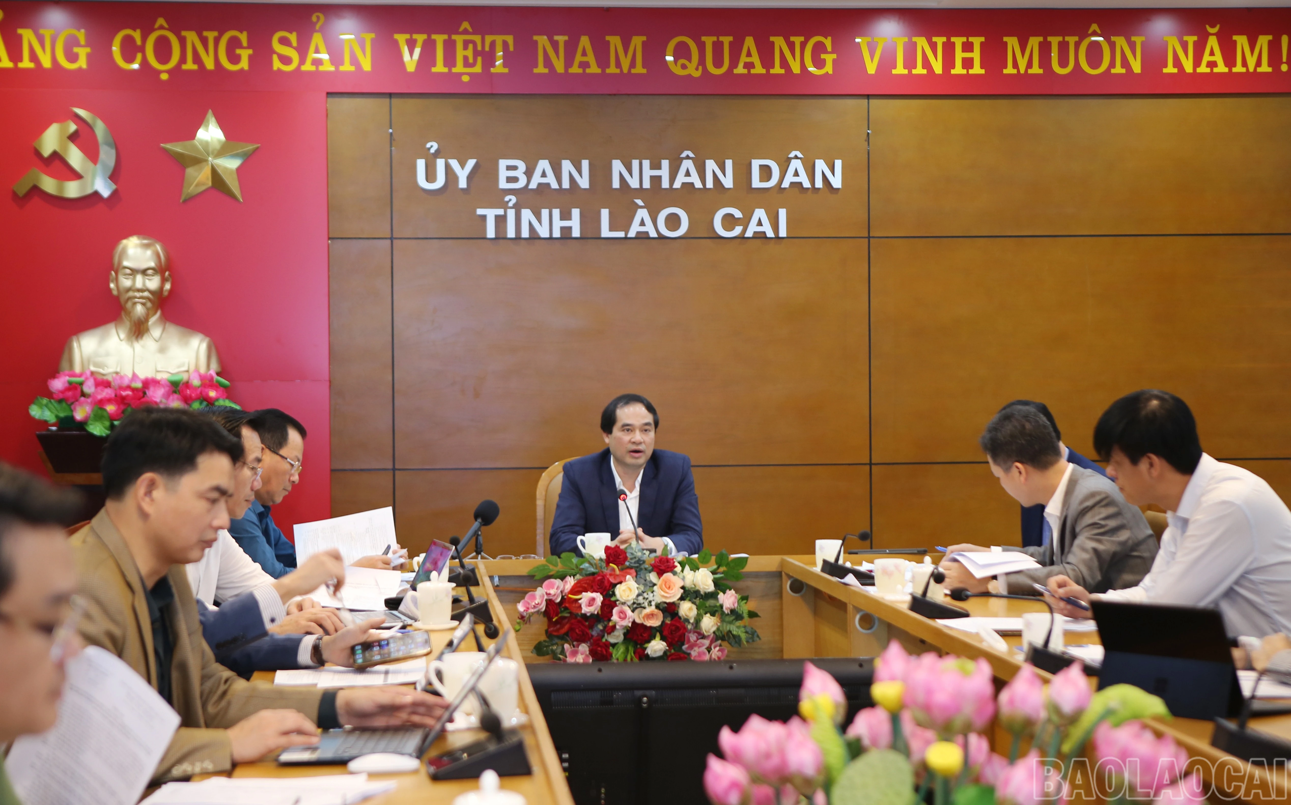 baolaocai-br_9.jpg