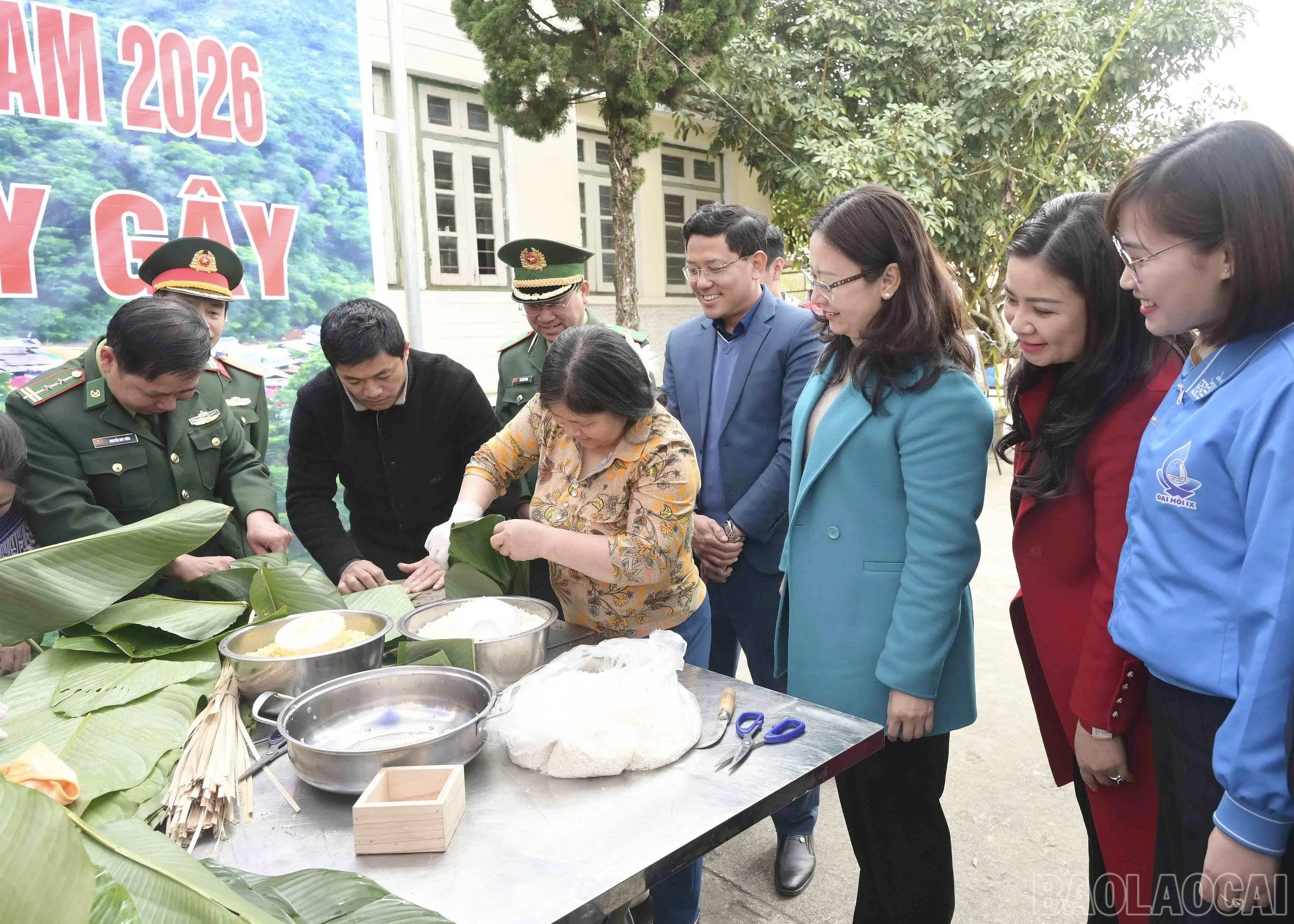 baolaocai-br_b-13.jpg
