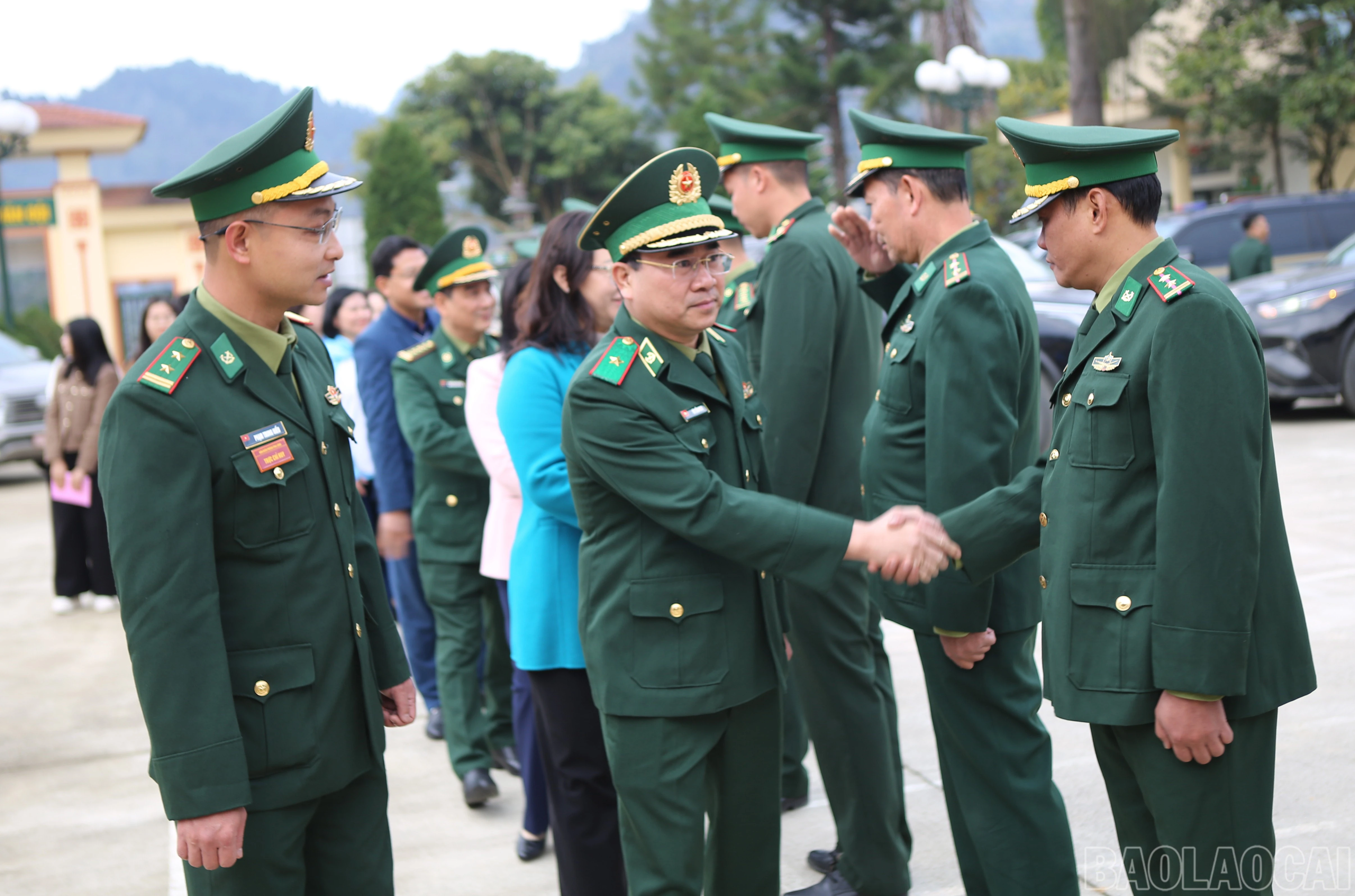 baolaocai-br_6.jpg