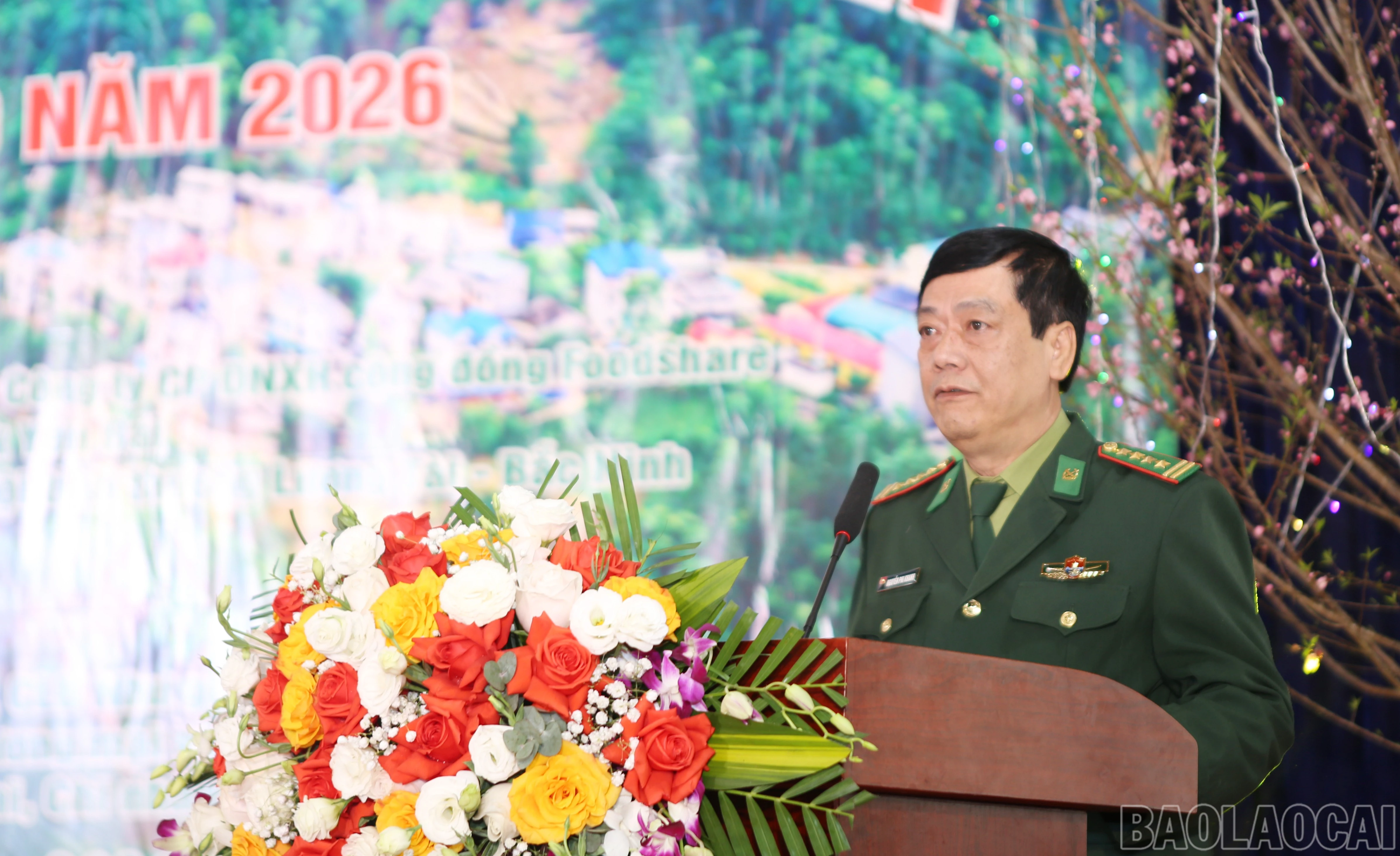 baolaocai-br_b-20.jpg