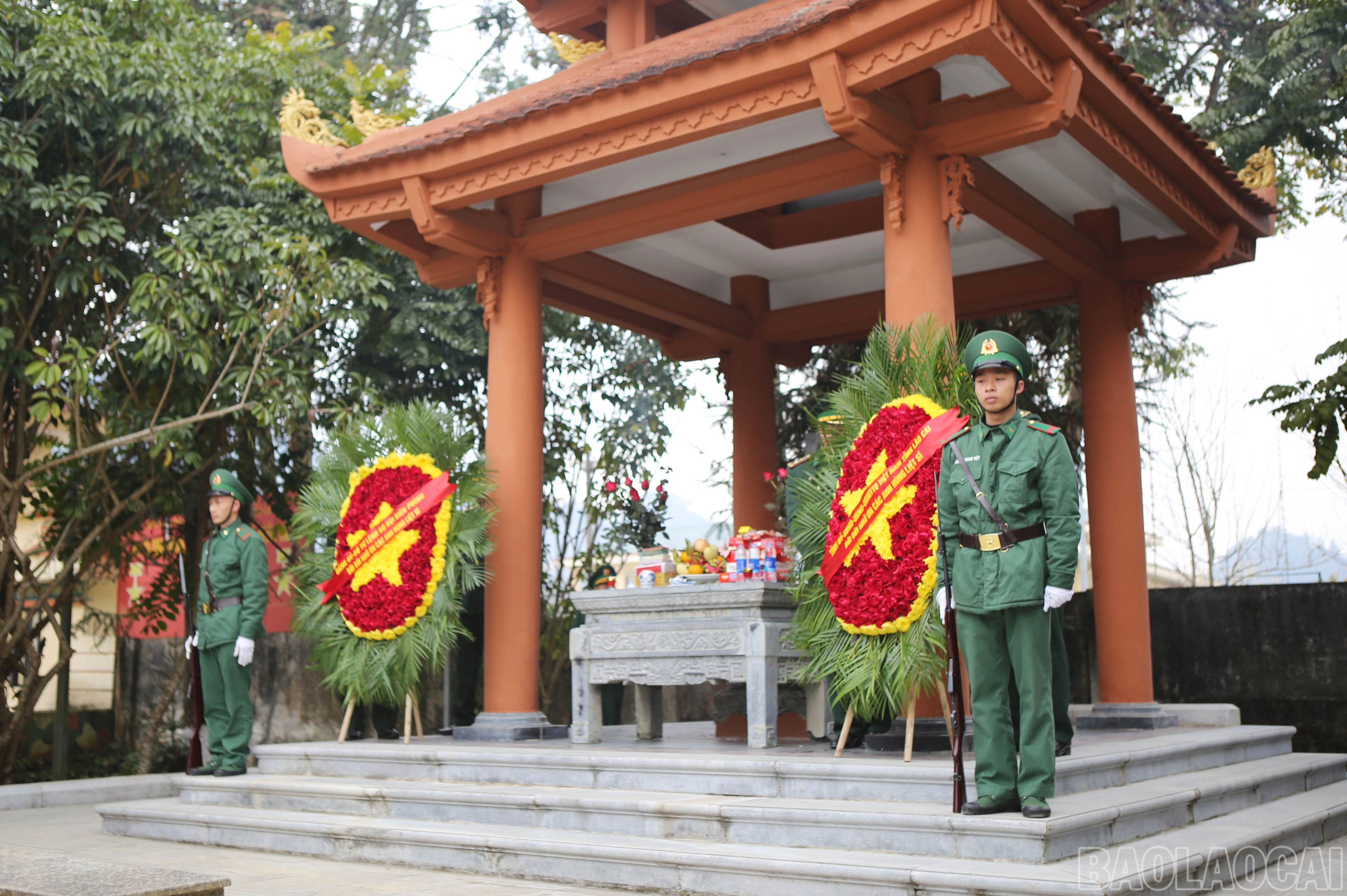 baolaocai-br_4.jpg