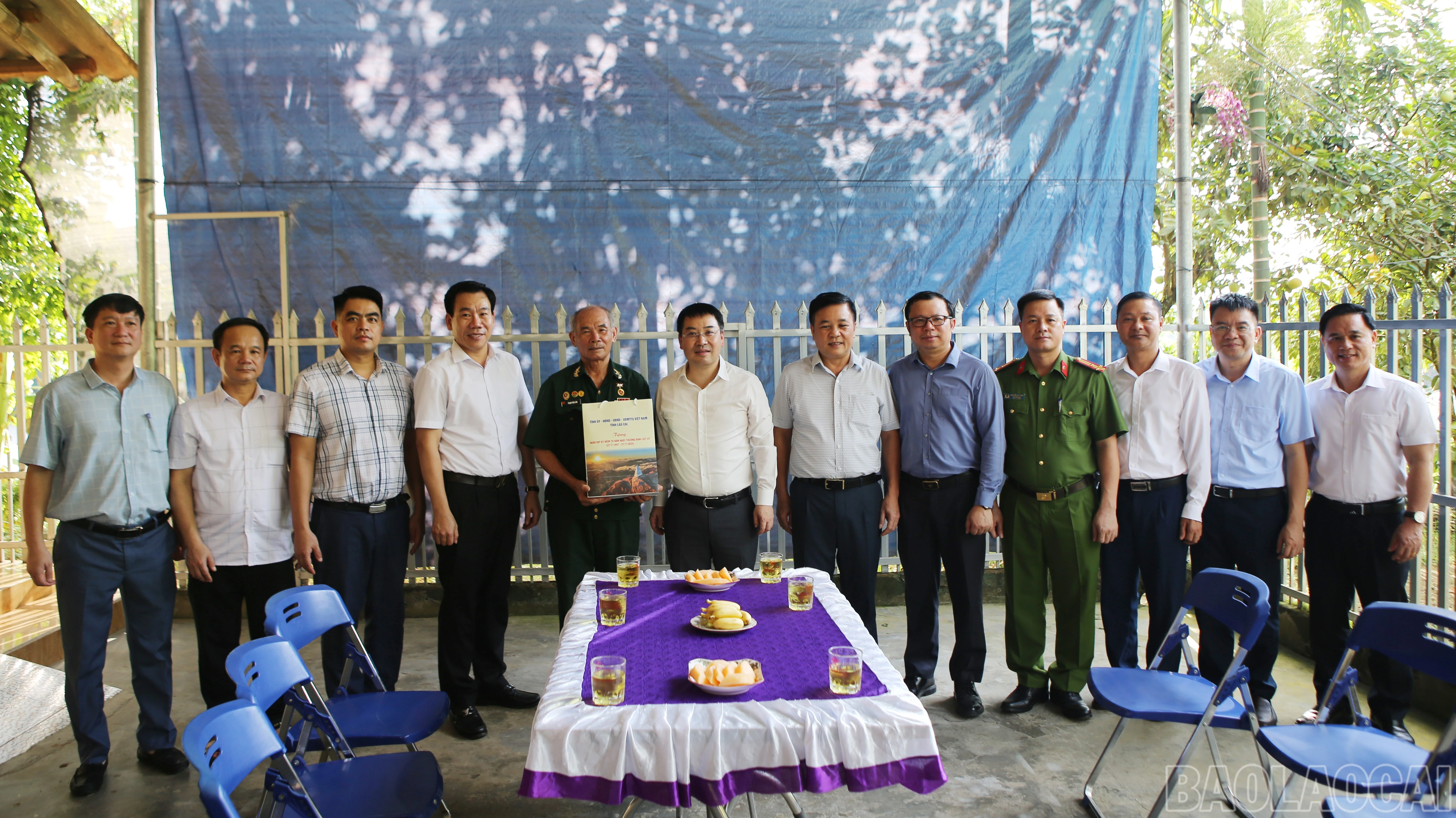 baolaocai-br_a-2.jpg