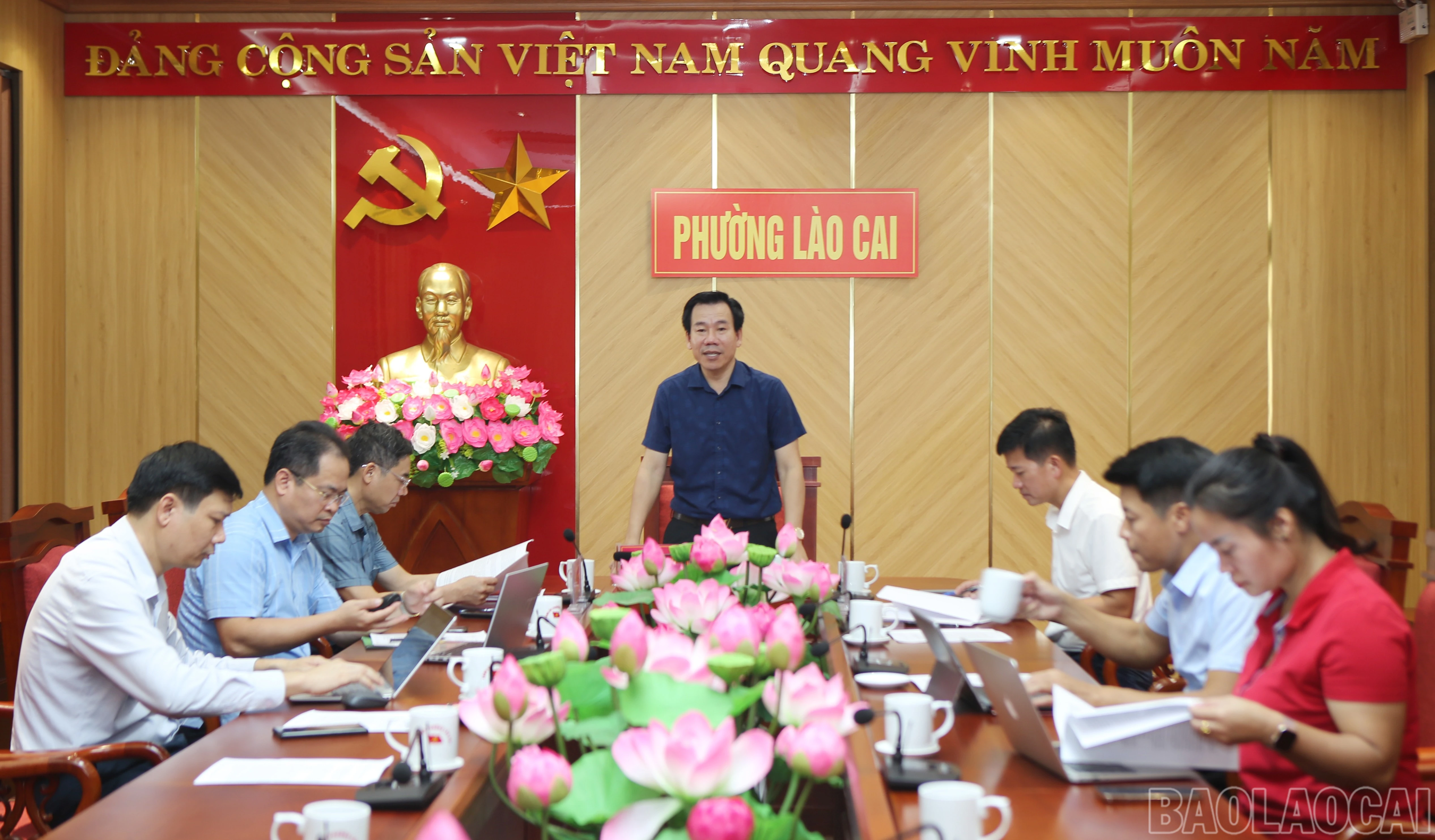 baolaocai-br_9.jpg