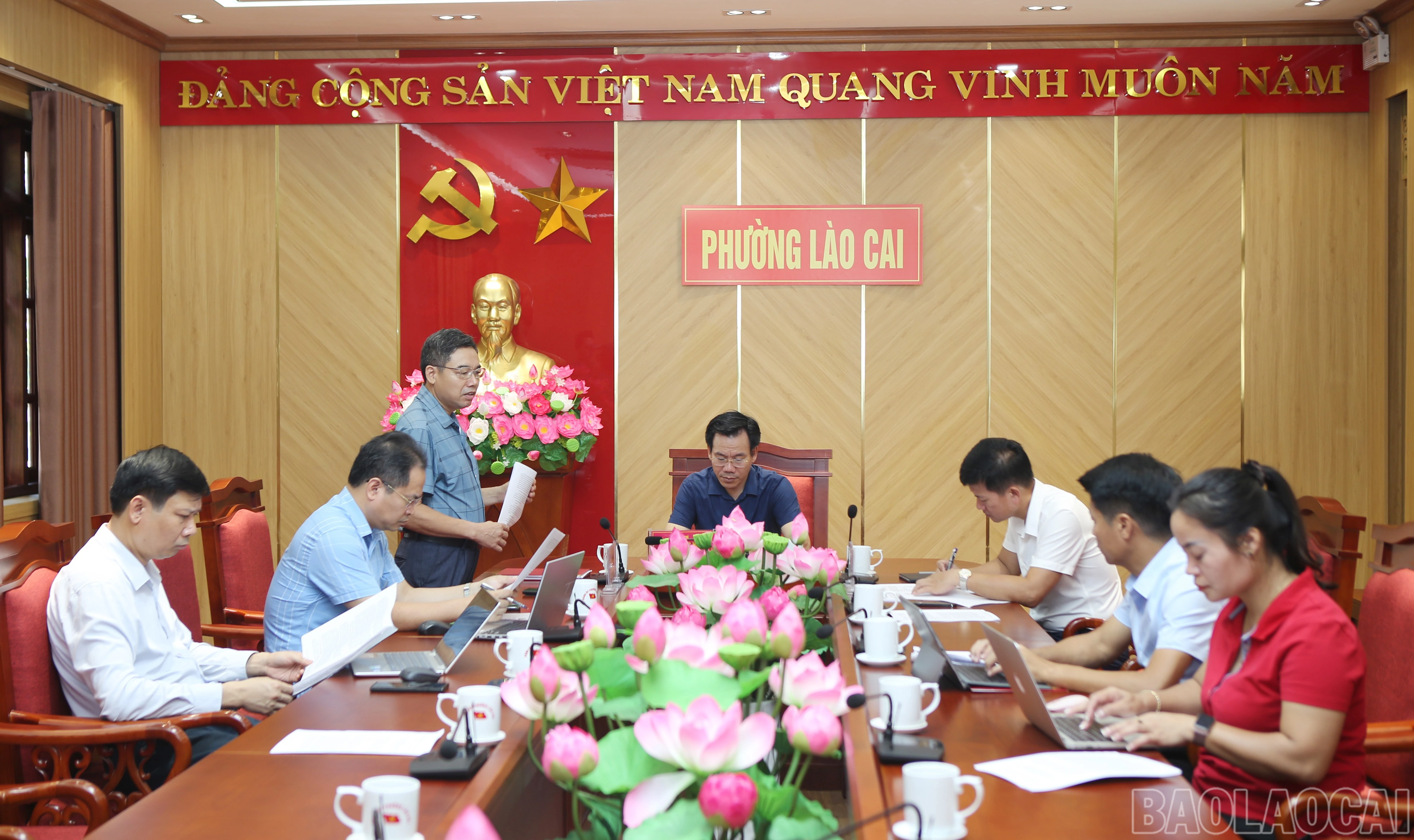 baolaocai-br_6.jpg