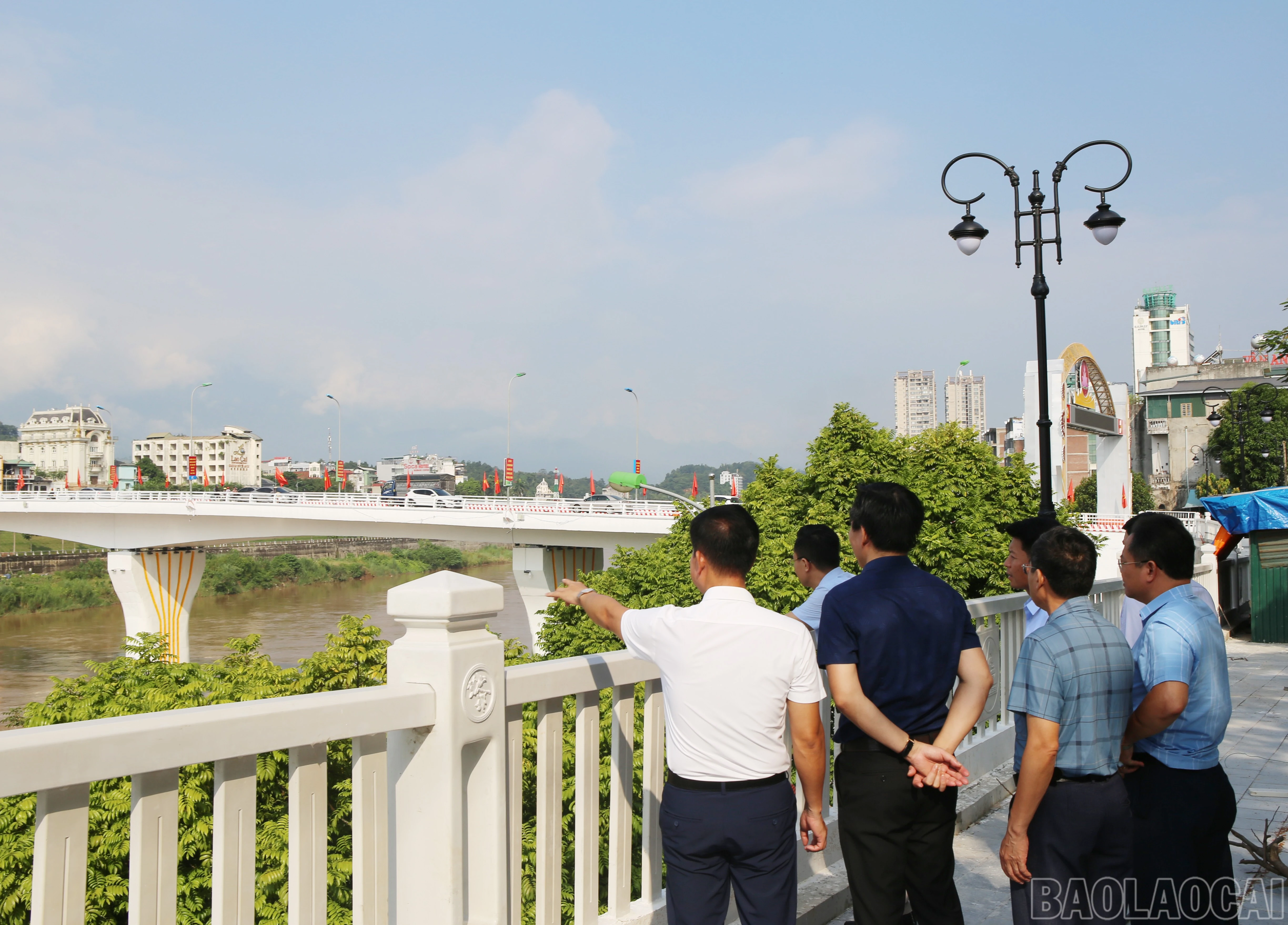 baolaocai-br_4.jpg