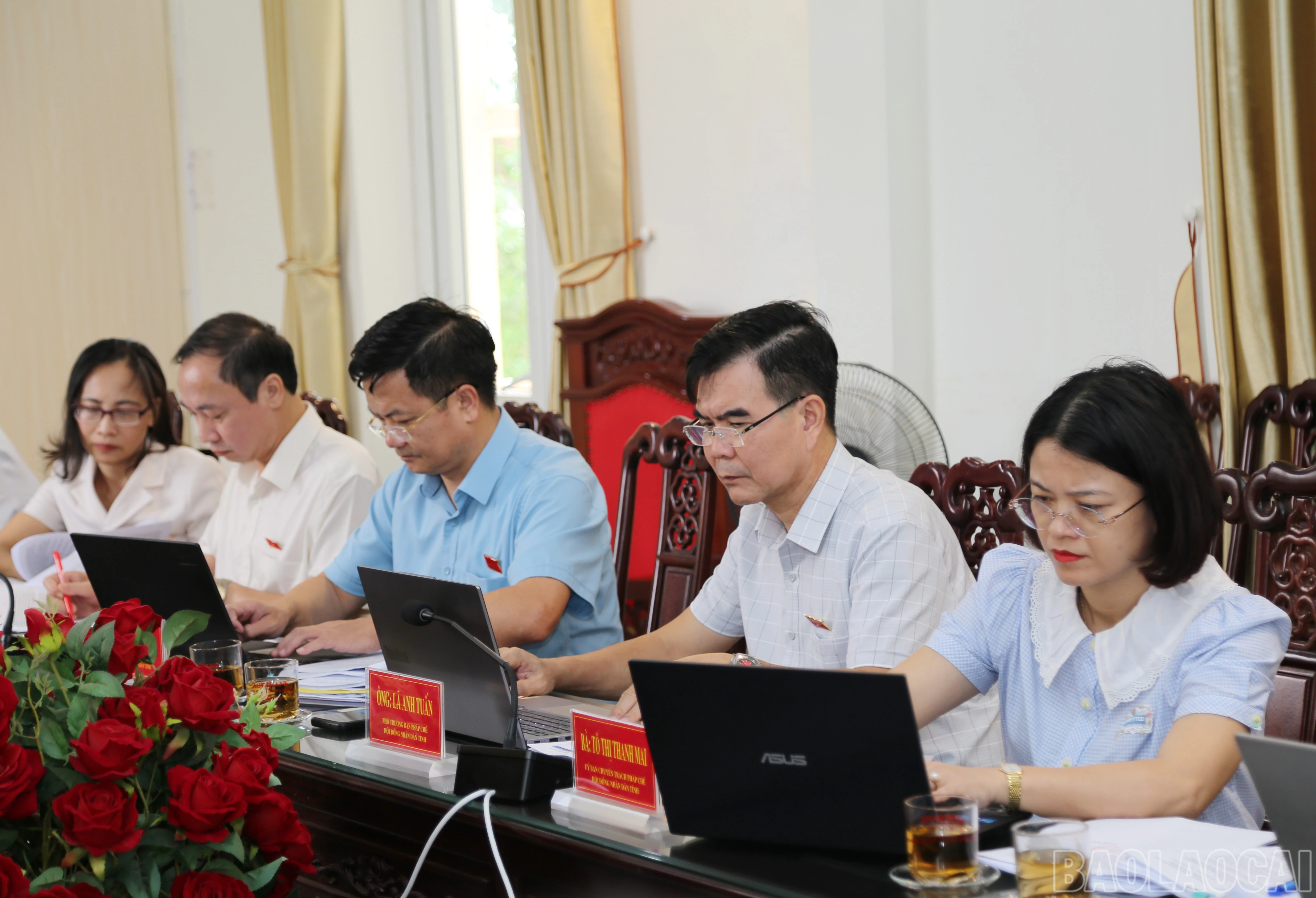 baolaocai-br_b-7.jpg