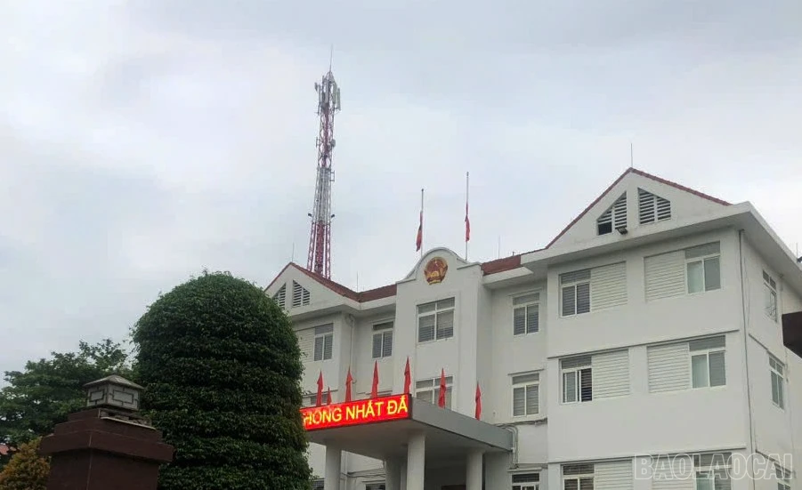 baolaocai-br_7.jpg