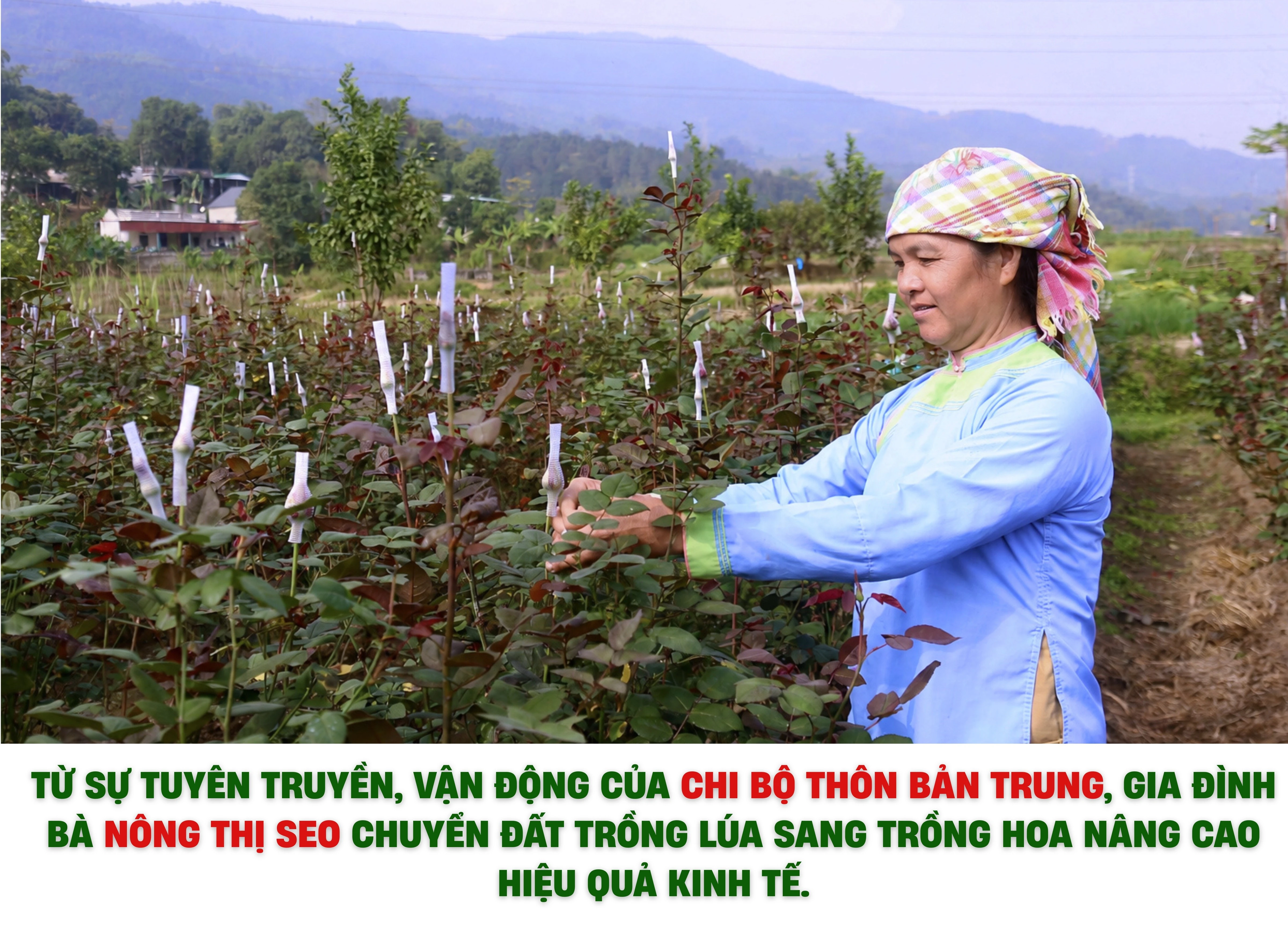 81.jpg