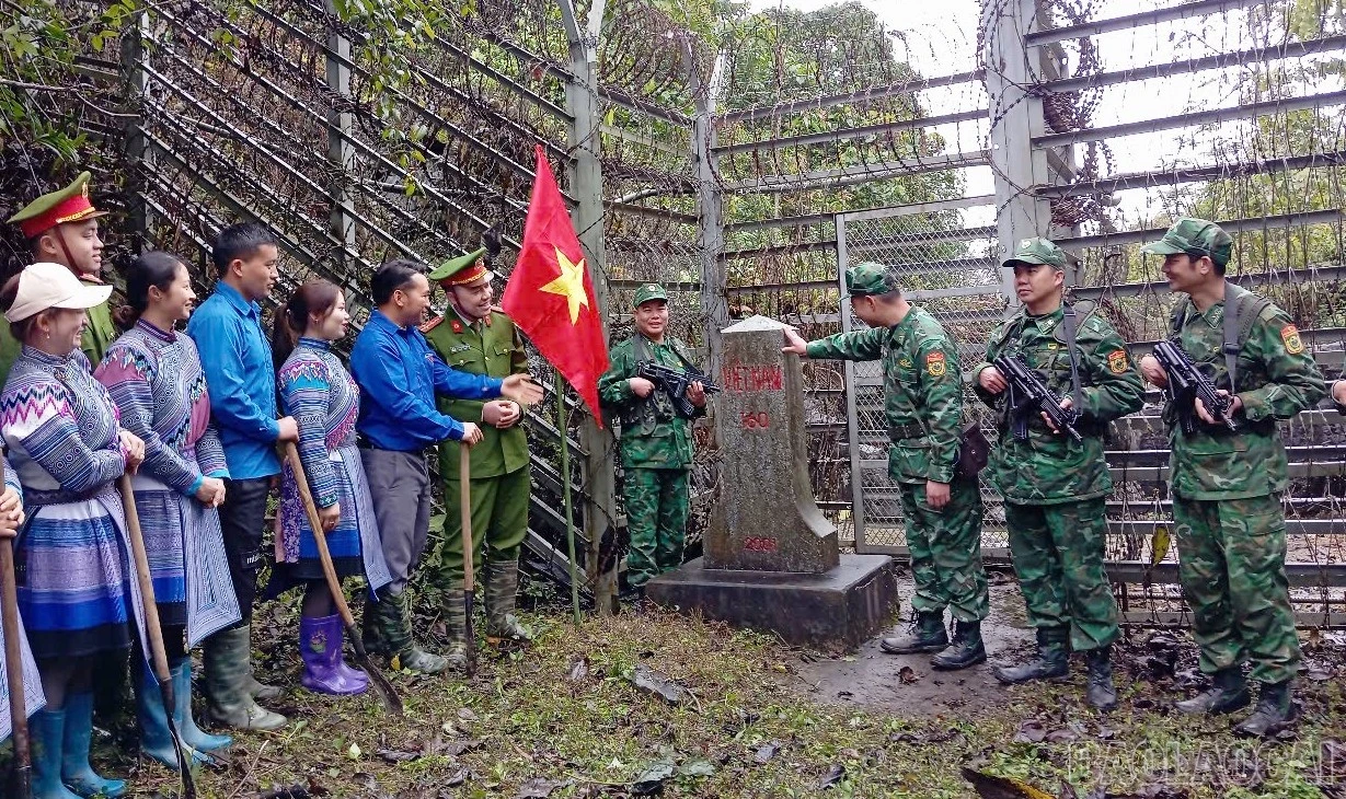 baolaocai-br_11.jpg