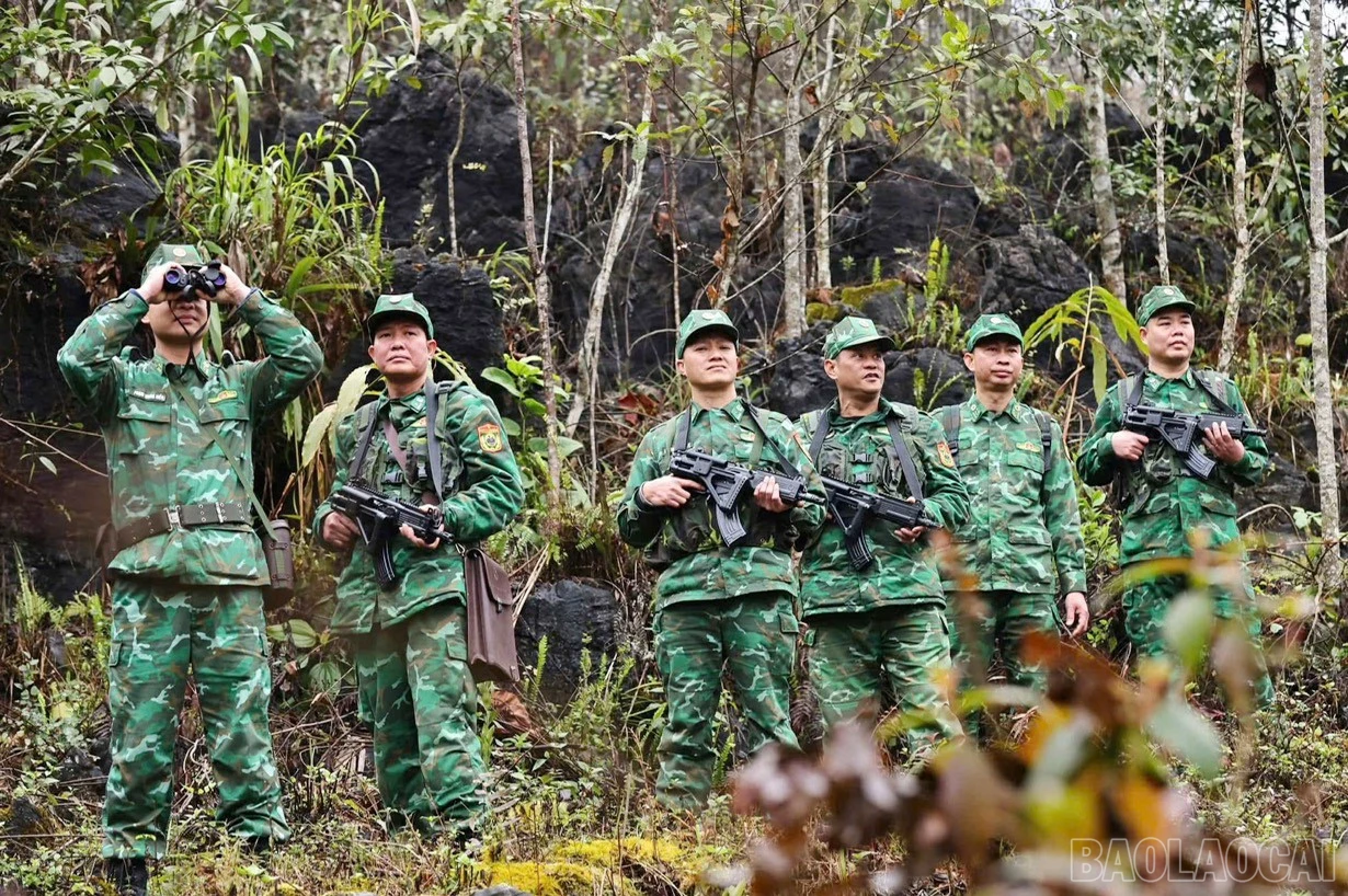 baolaocai-br_12.jpg