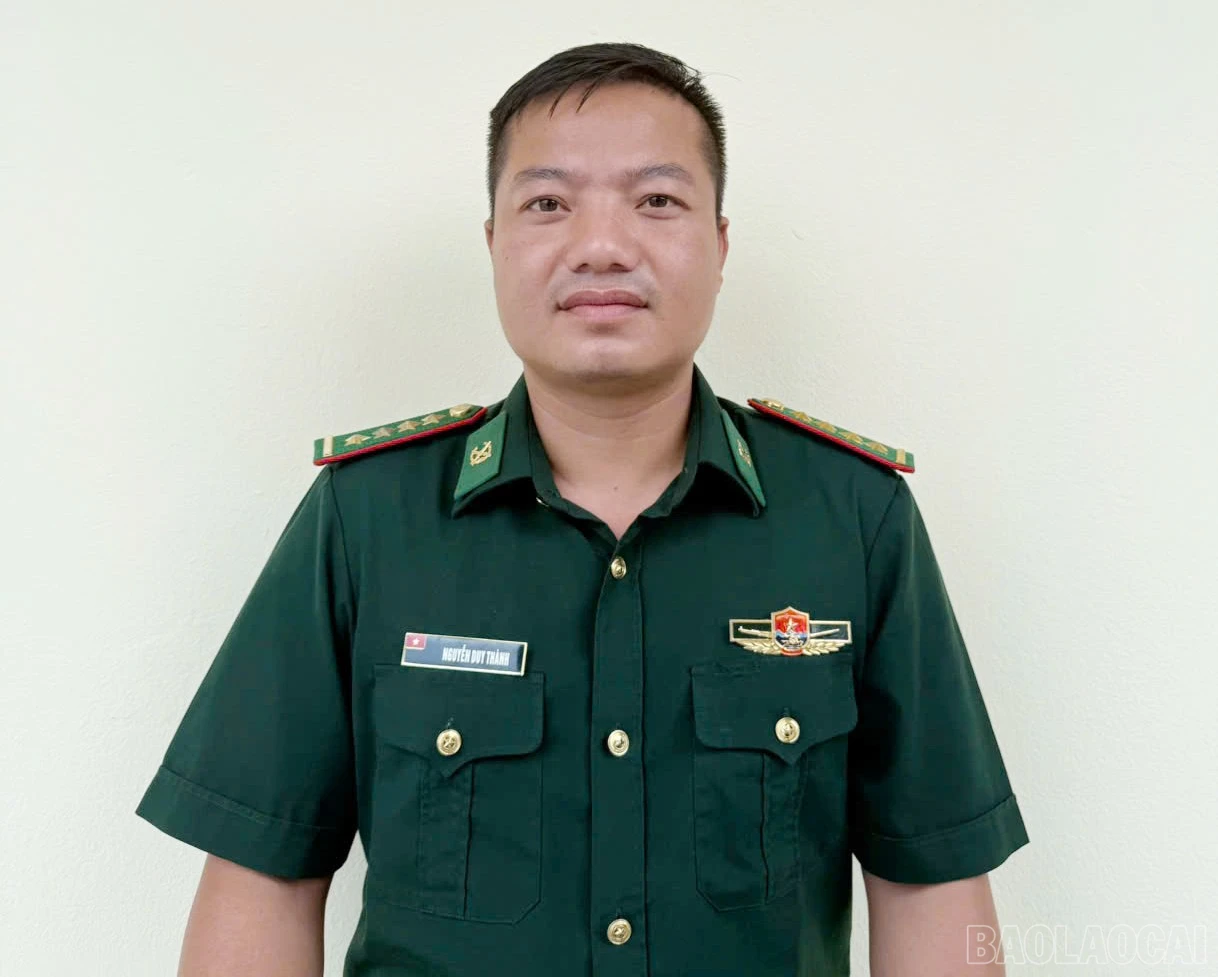 baolaocai-br_d-3.jpg