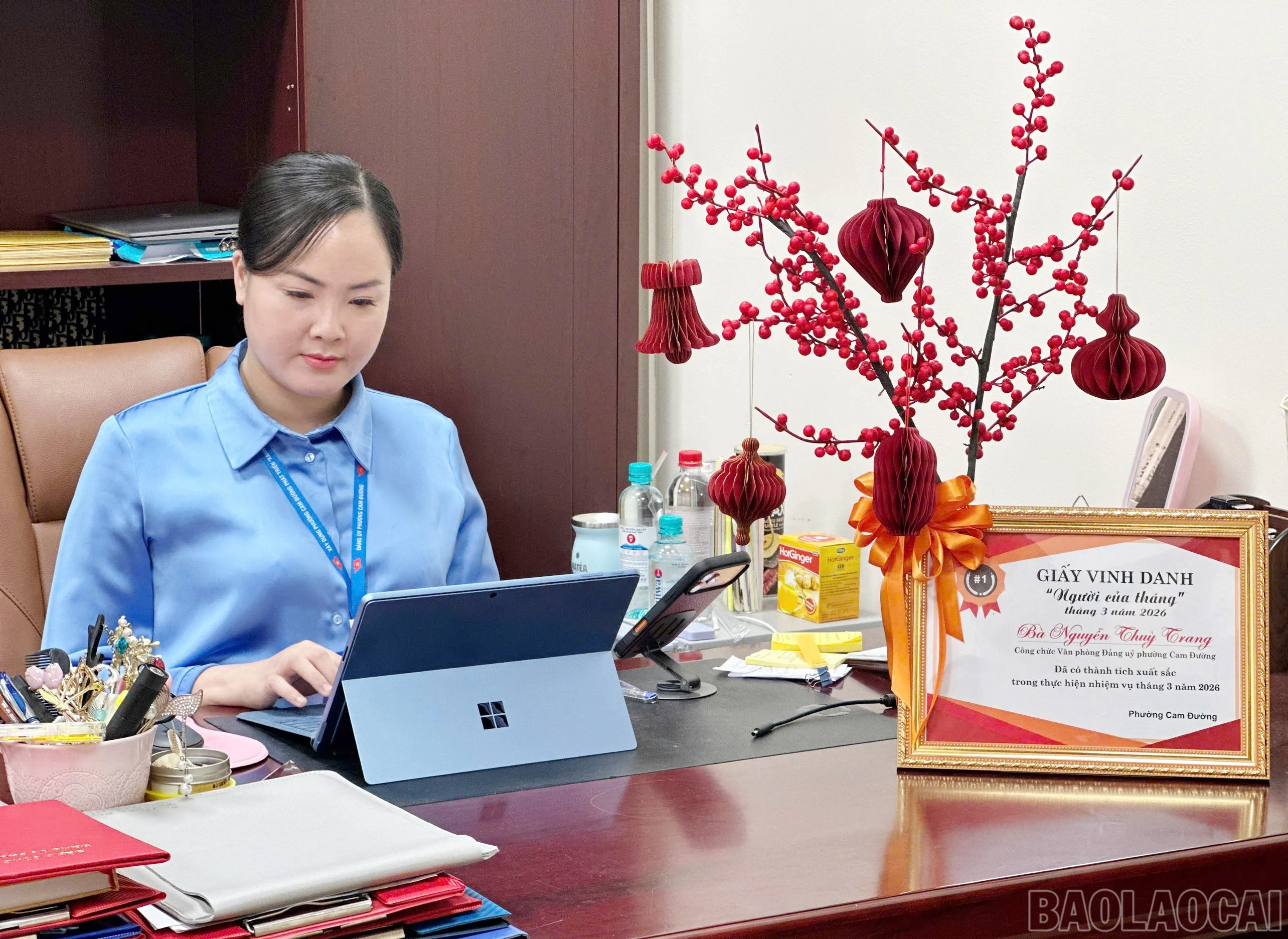 baolaocai-br_a-1.jpg