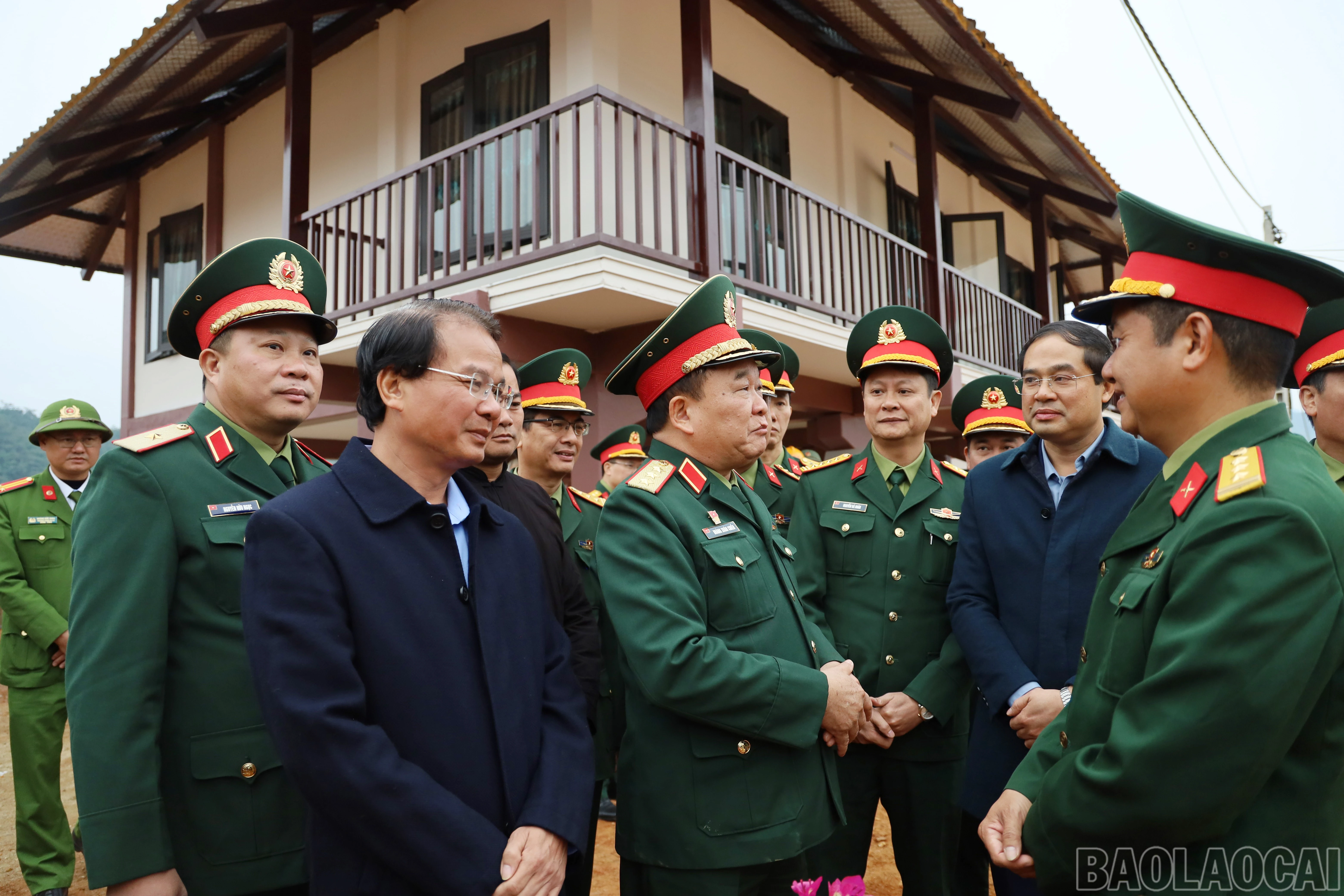 baolaocai-br_3.jpg