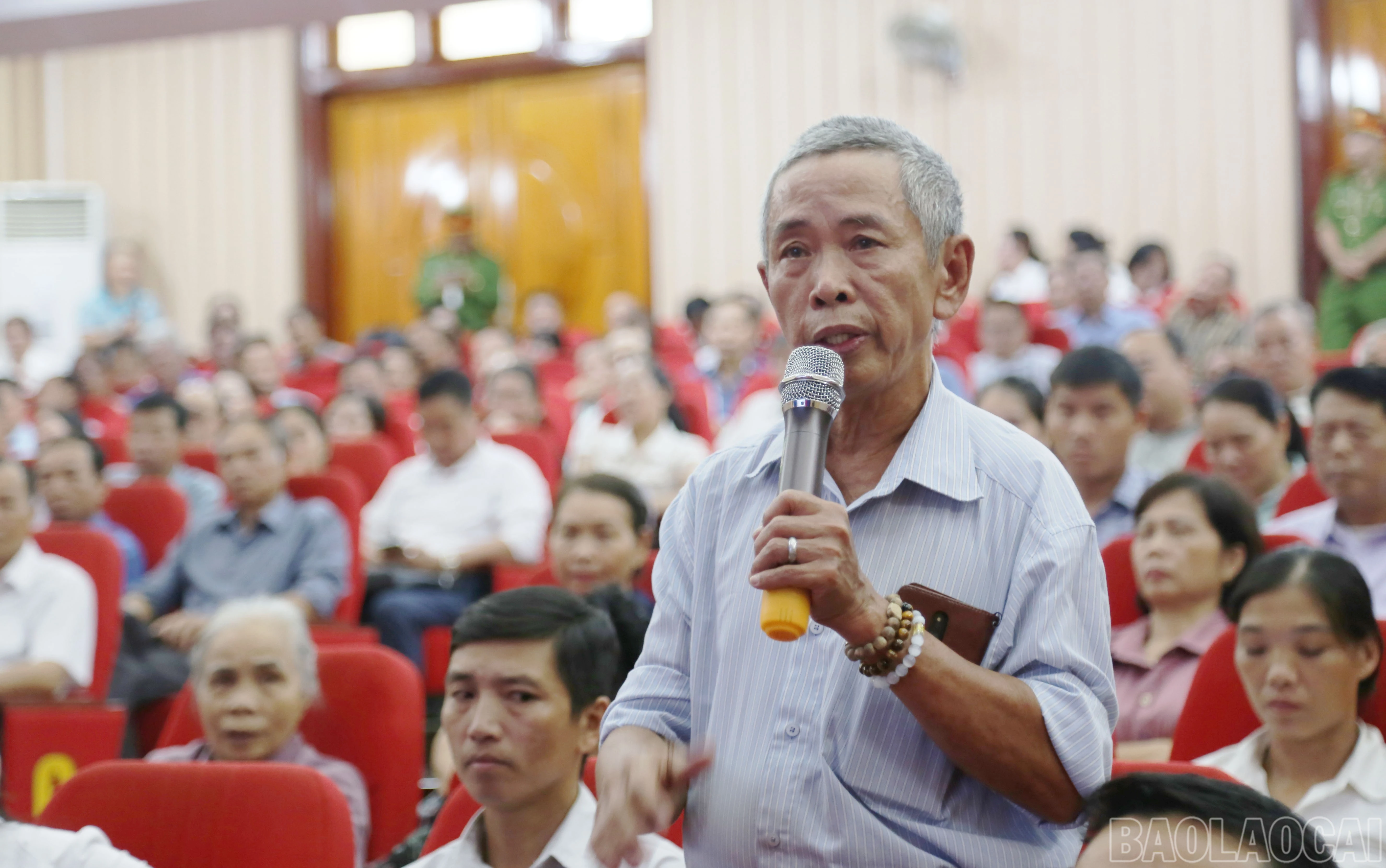 baolaocai-br_c-6084.jpg