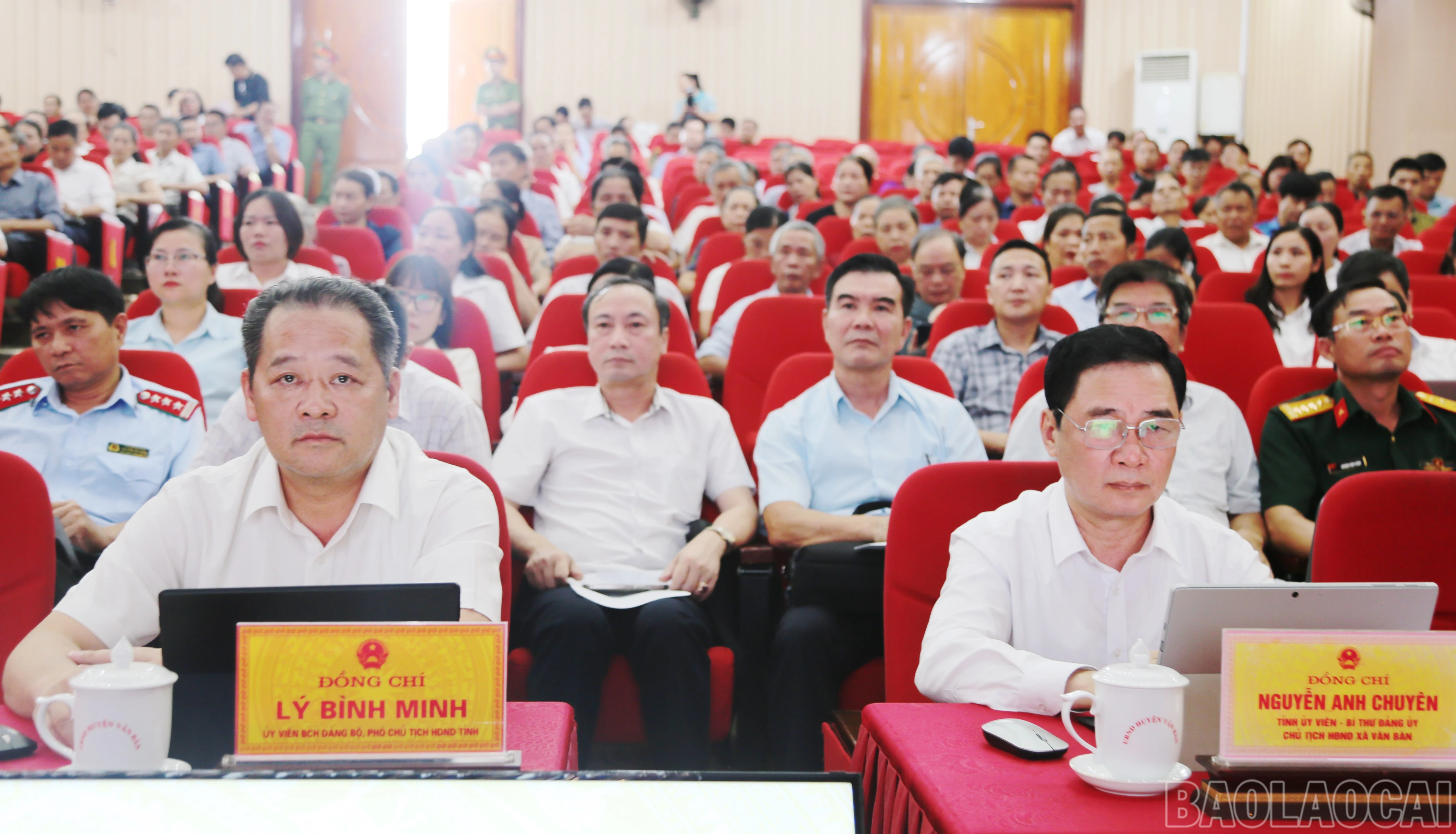 baolaocai-br_c-9299.jpg