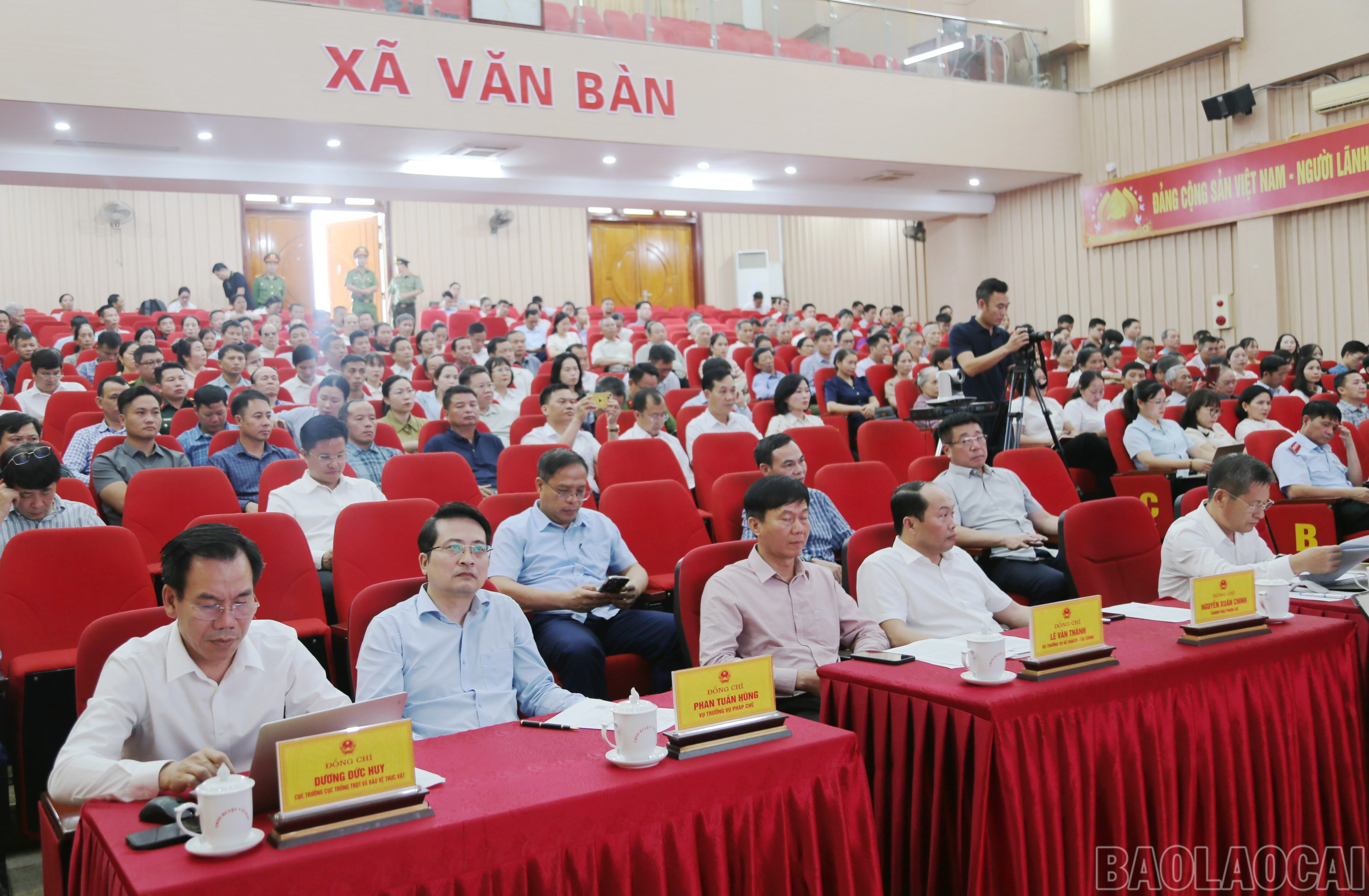 baolaocai-br_c-3969.jpg