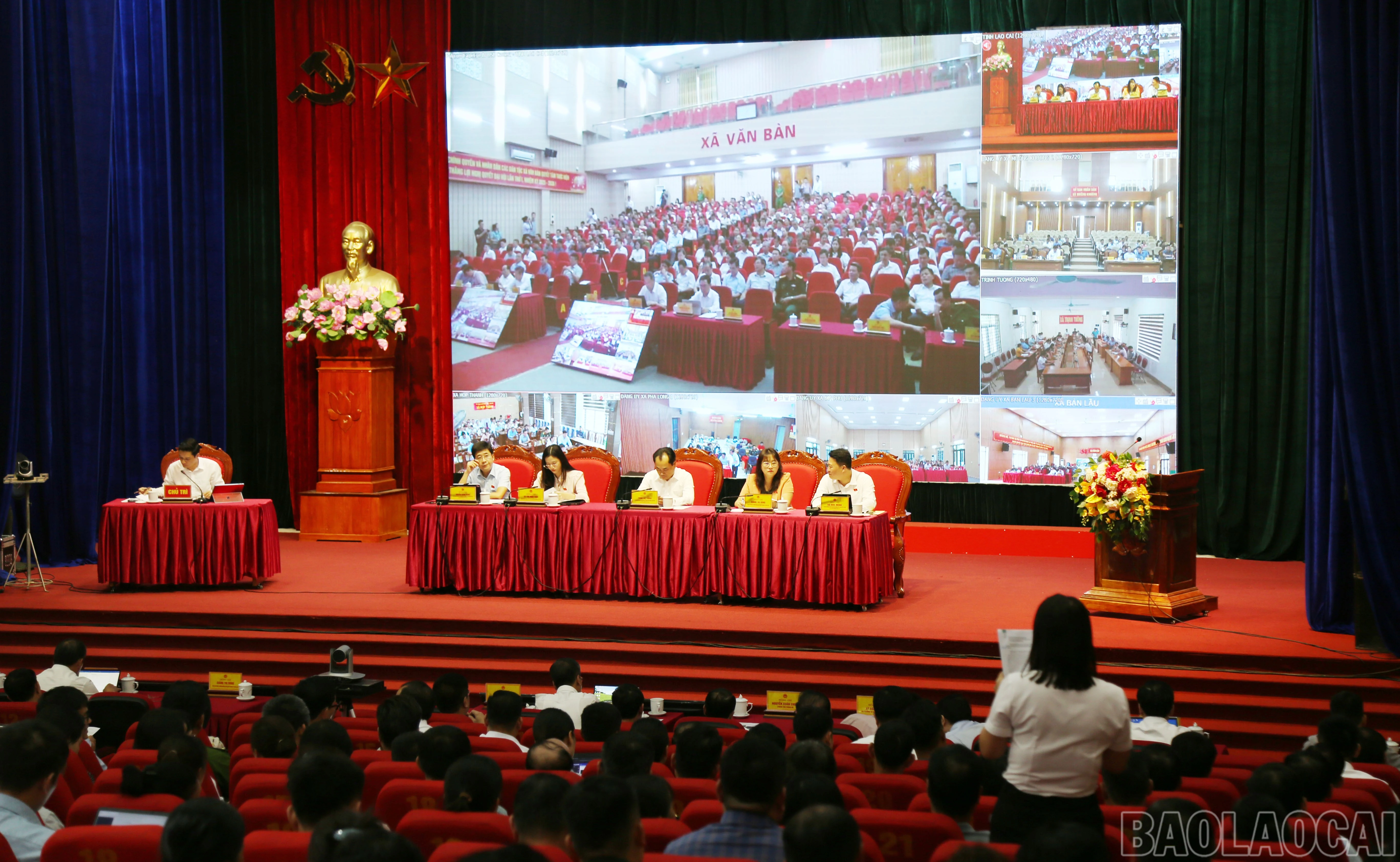 baolaocai-br_c-3695.jpg