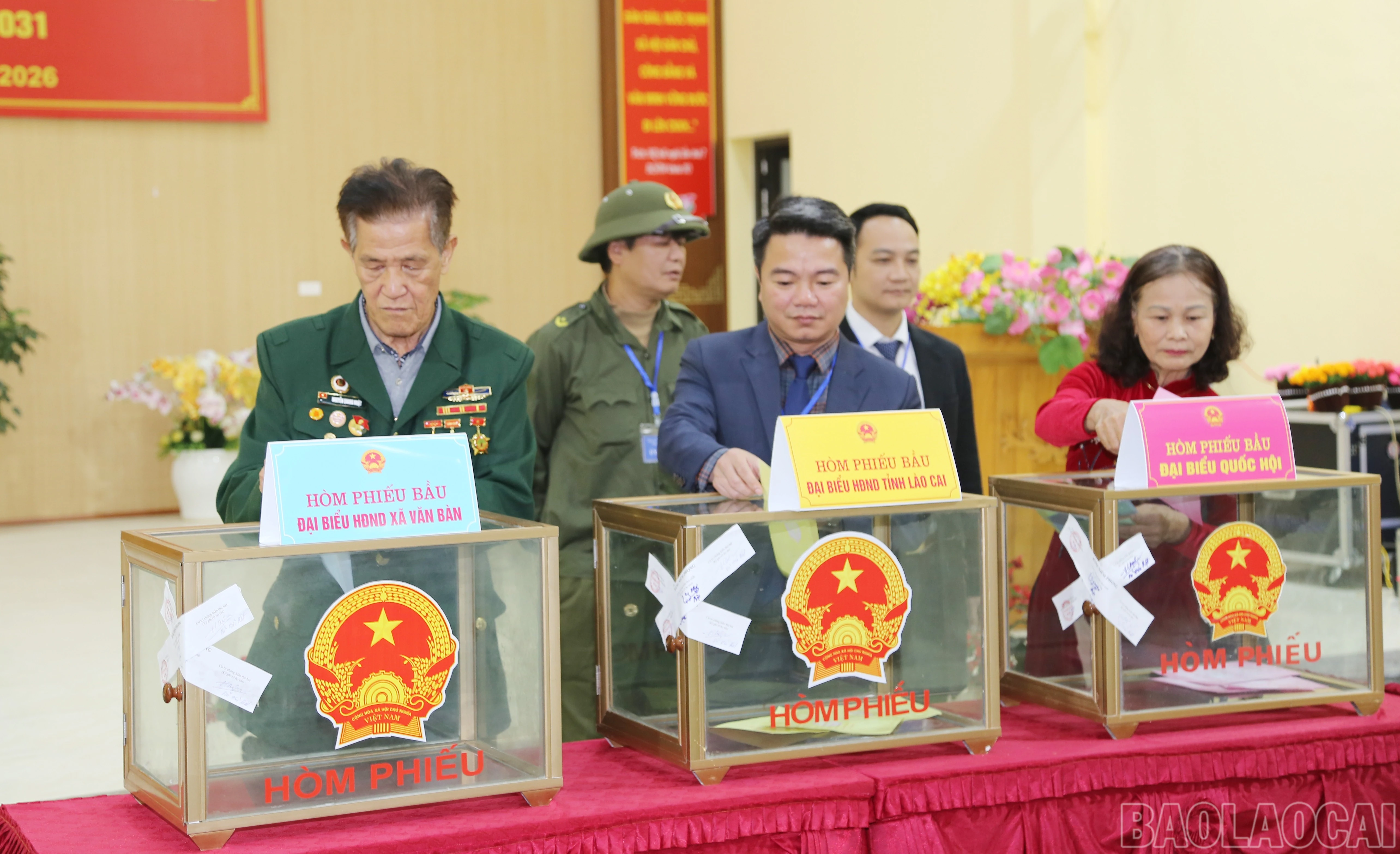 baolaocai-br_v-3.jpg