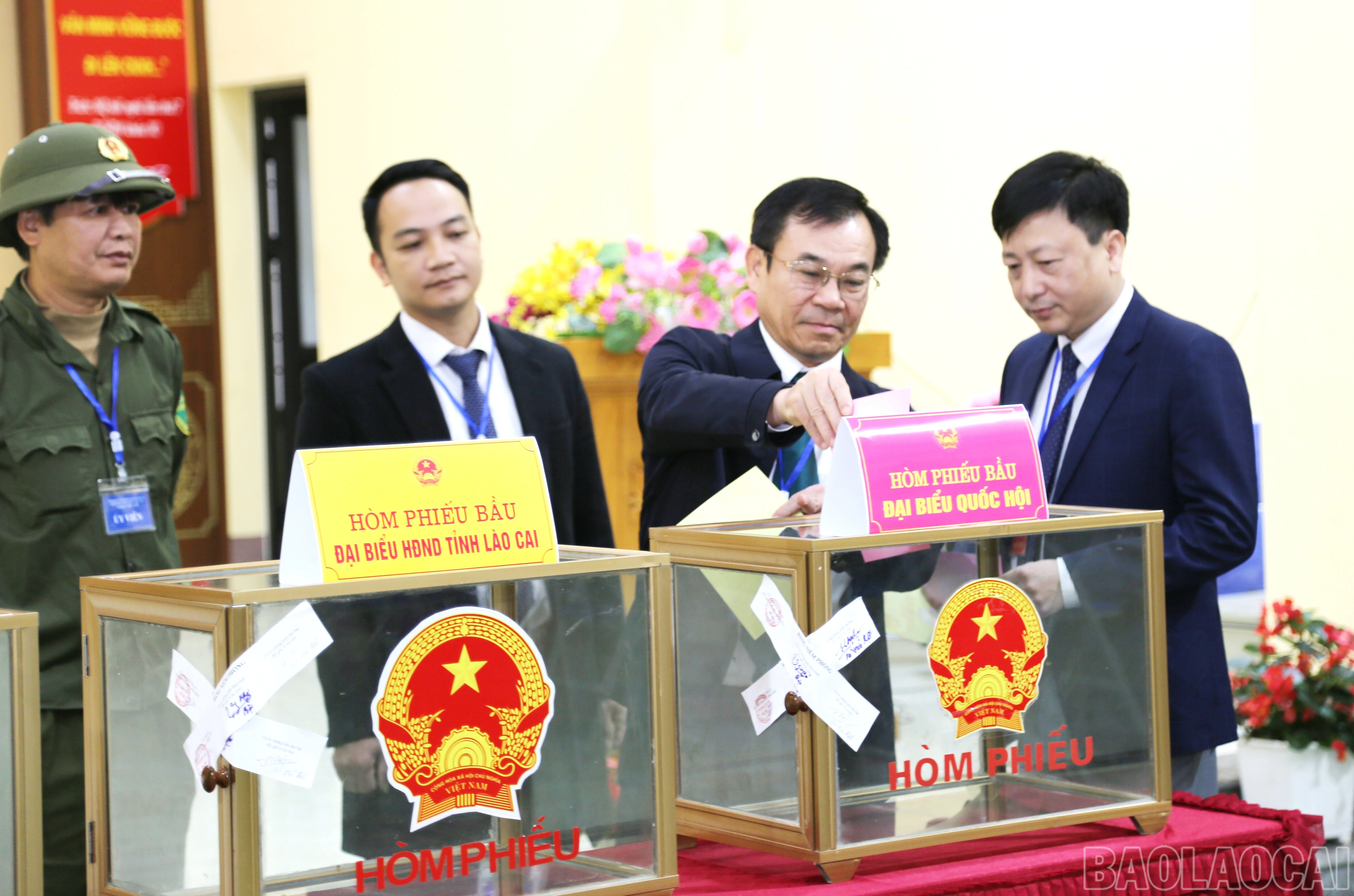 baolaocai-br_v-4.jpg