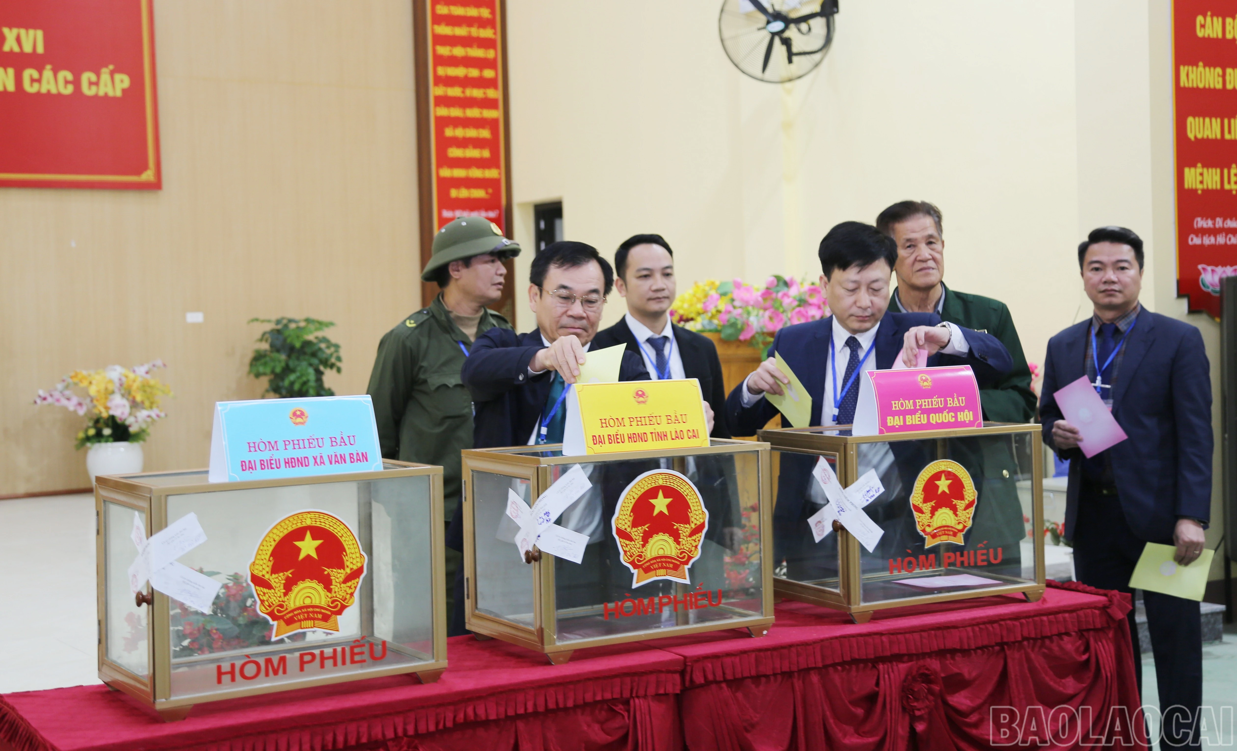 baolaocai-br_v-1.jpg