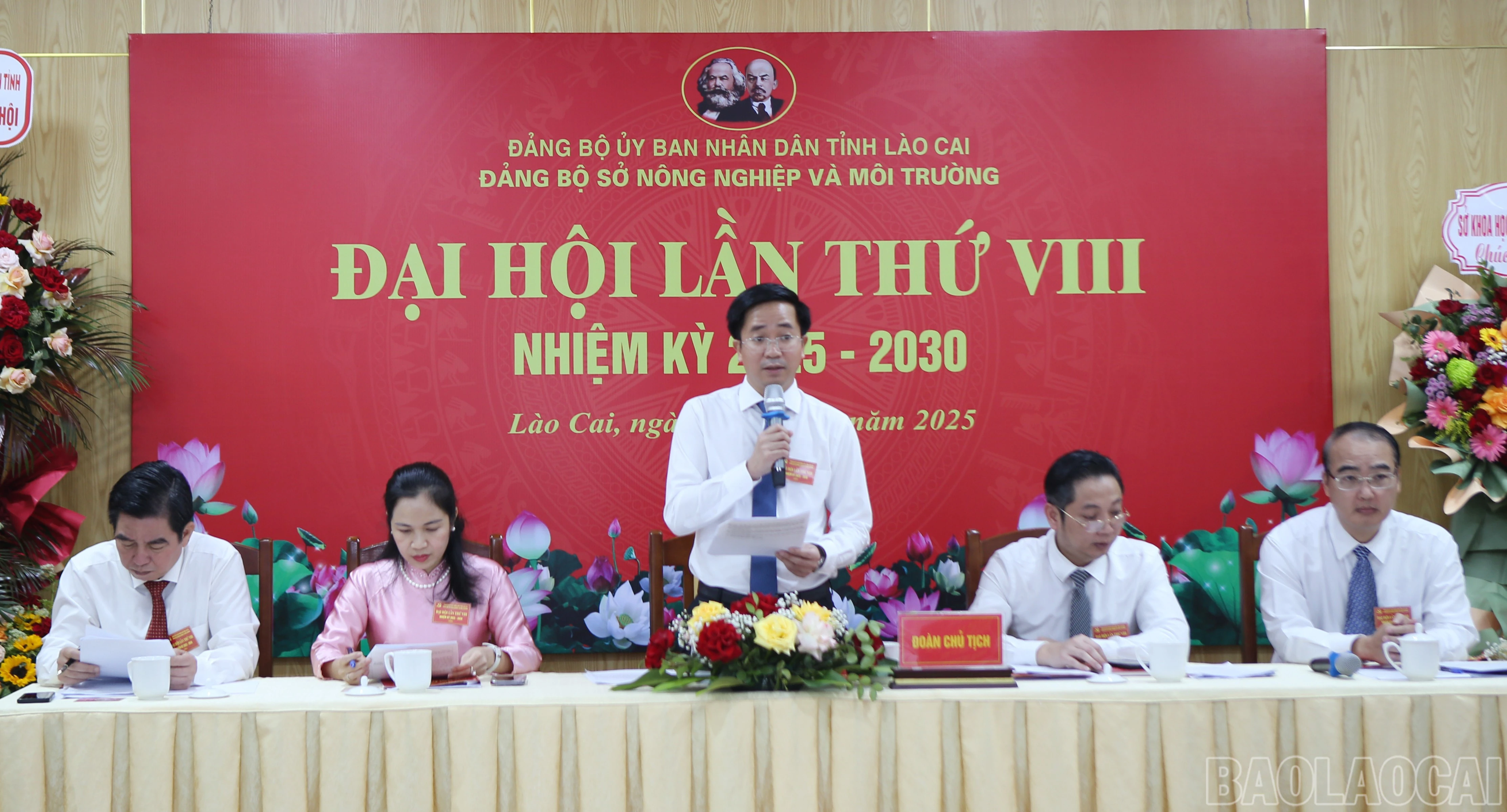 baolaocai-br_2.jpg