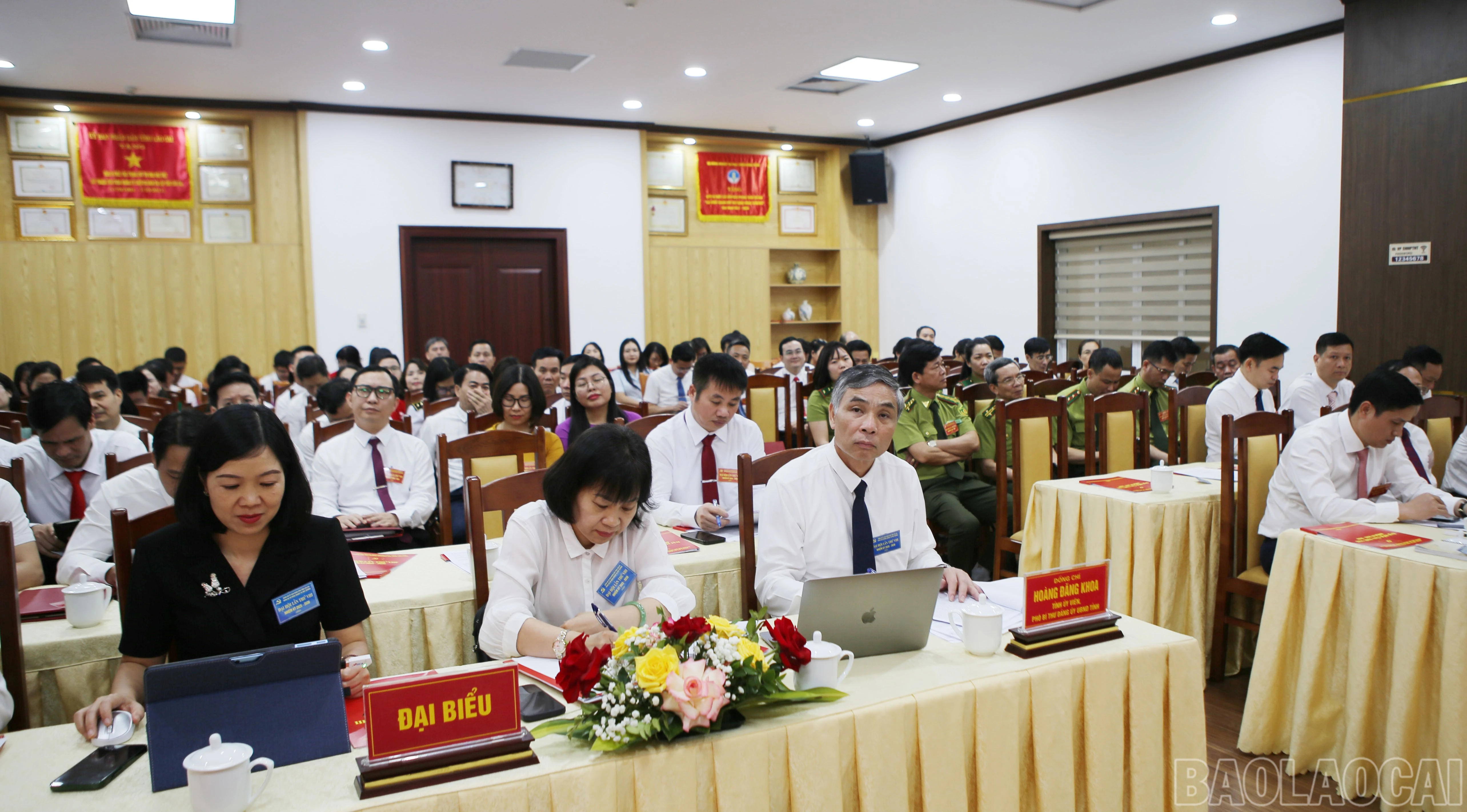 baolaocai-br_4.jpg