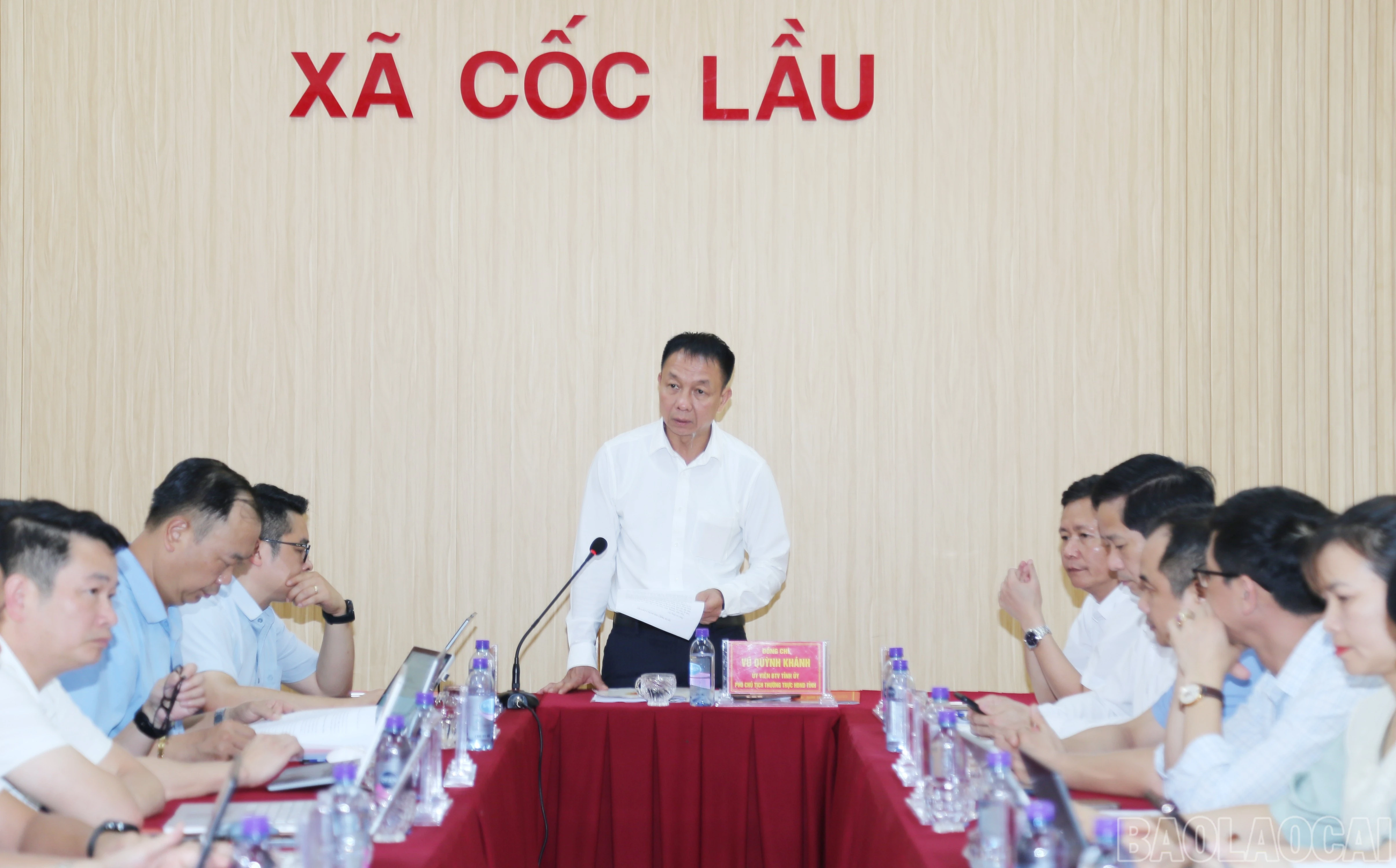 baolaocai-br_d-4.jpg