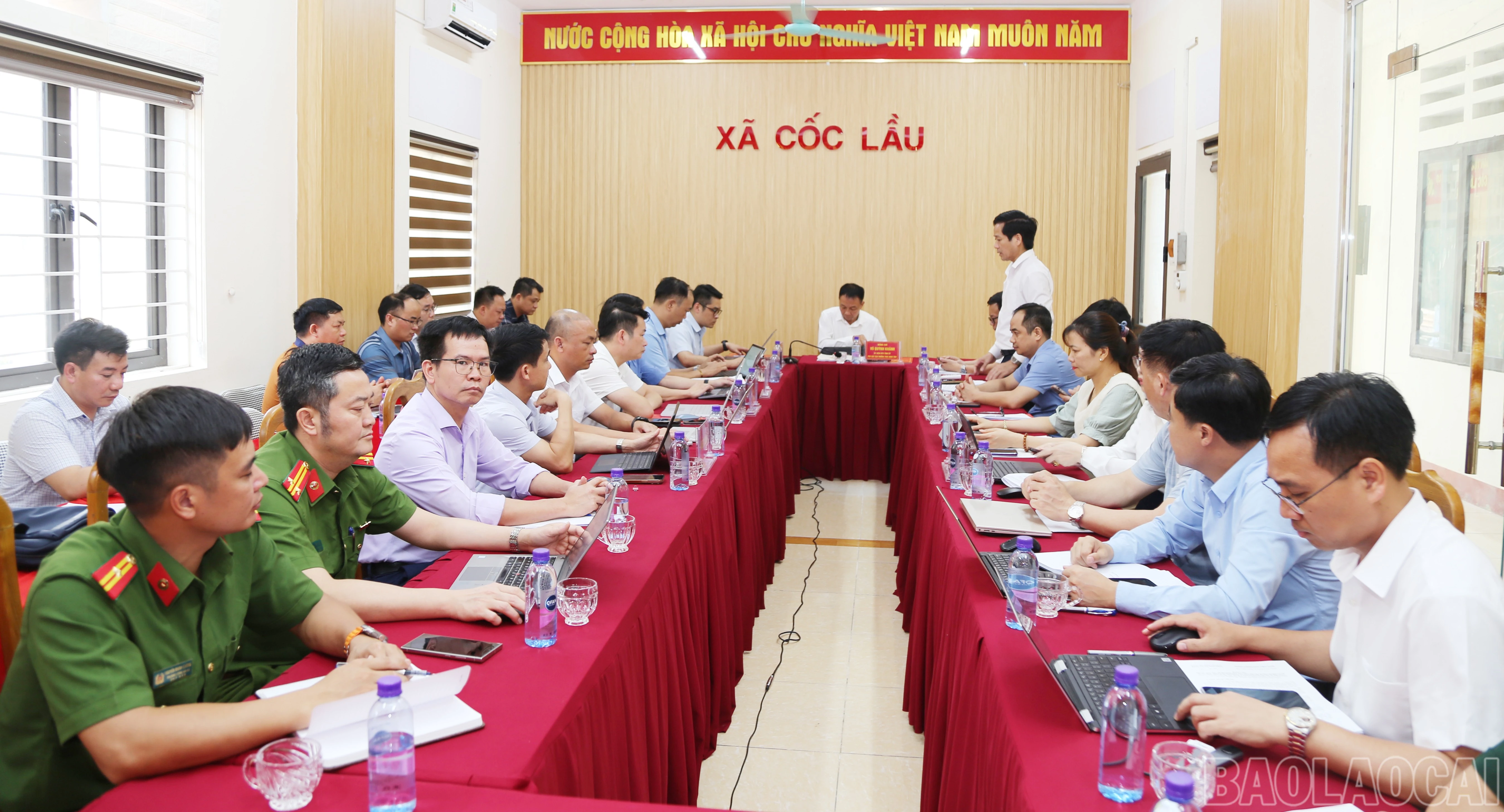 baolaocai-br_d-1.jpg