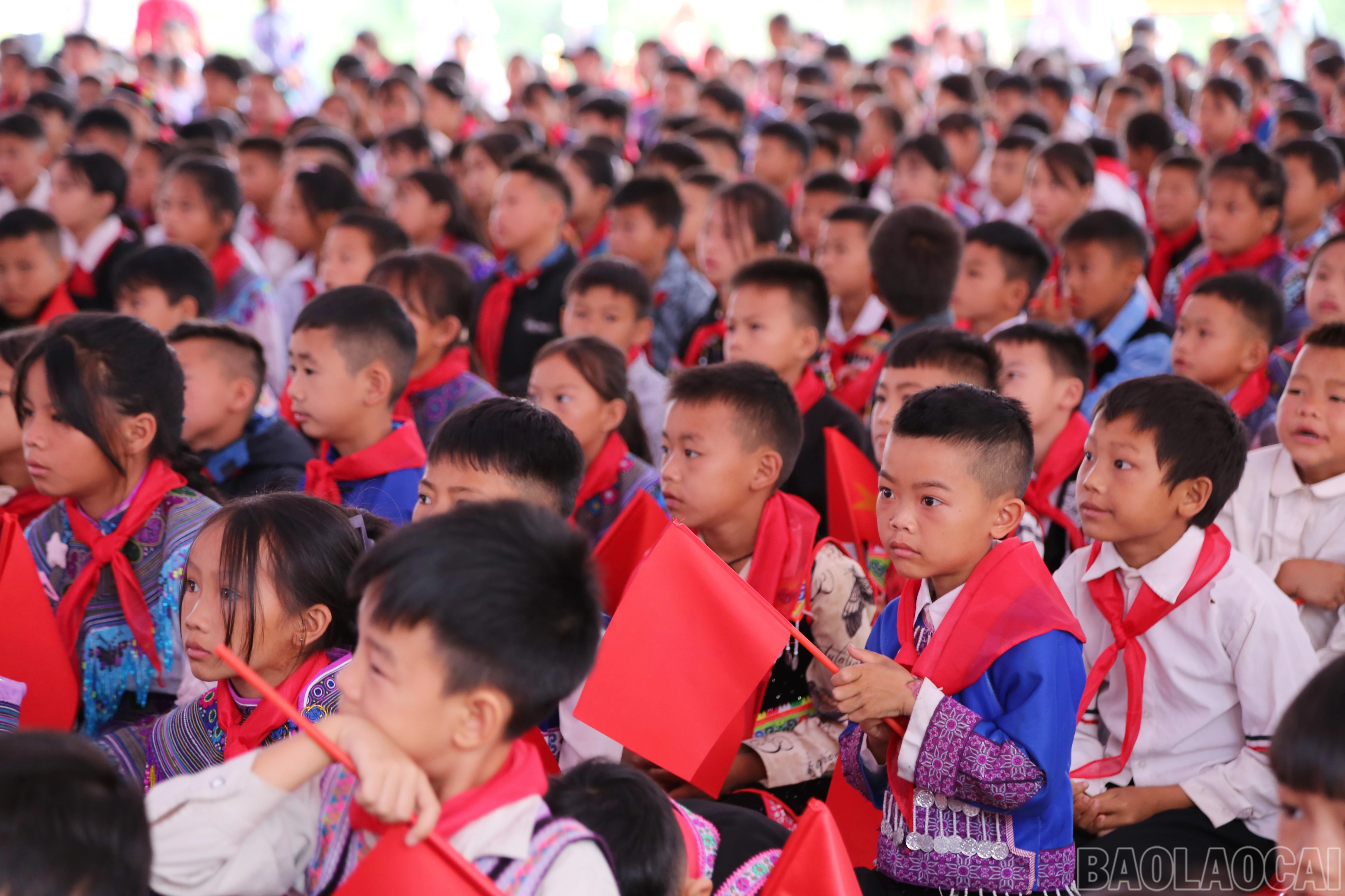 baolaocai-br_b-3.jpg