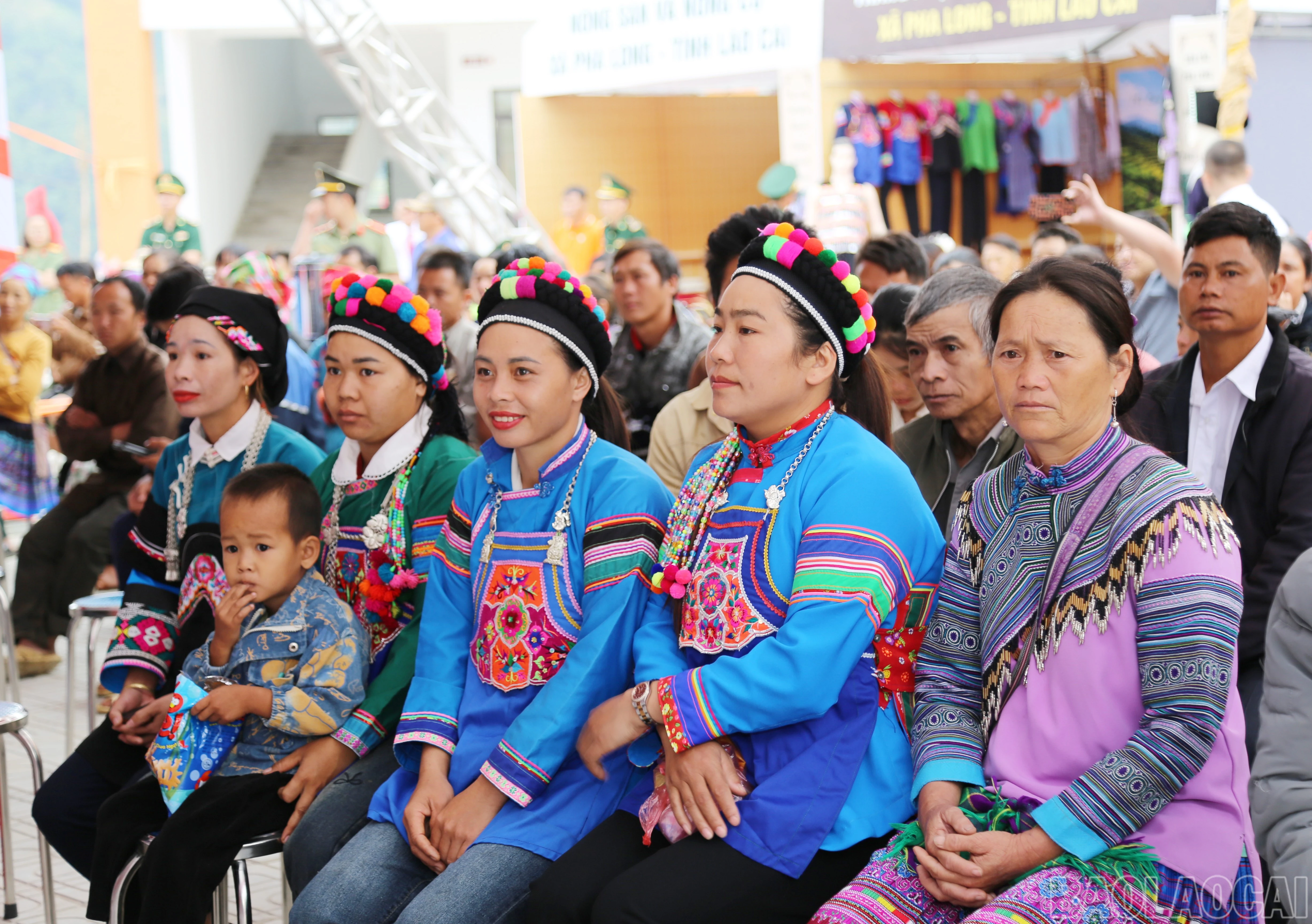 baolaocai-br_b-6.jpg