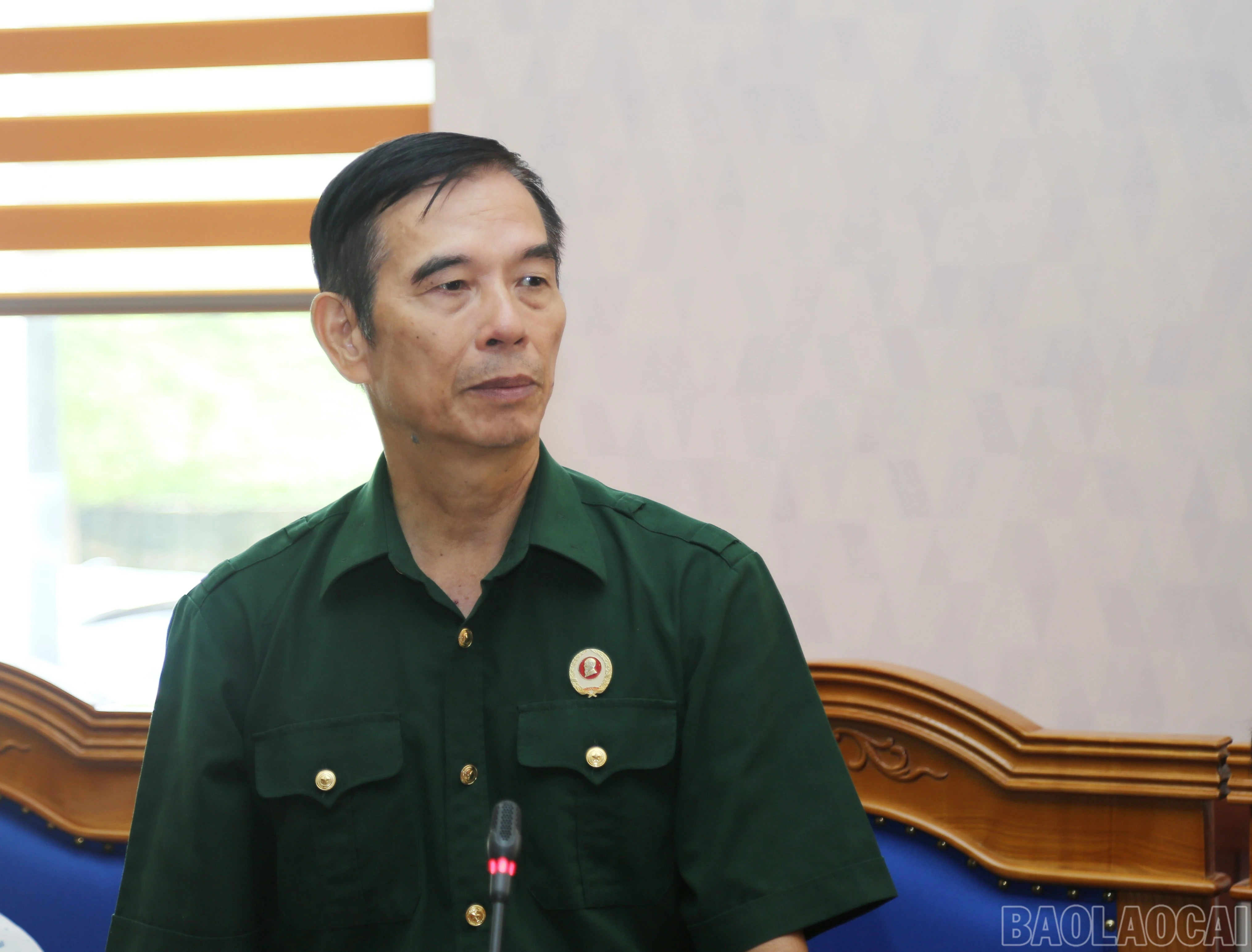 baolaocai-br_a-20.jpg